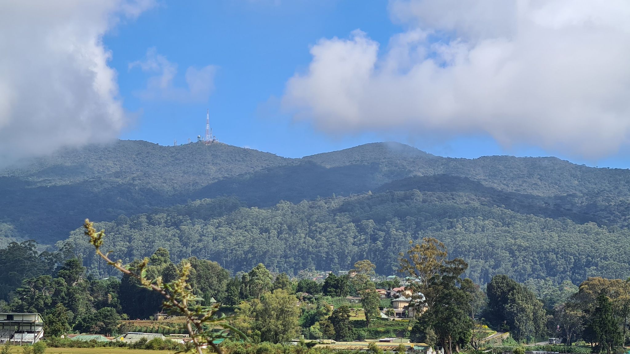 Highest mountain in Sri Lanka. 2520m