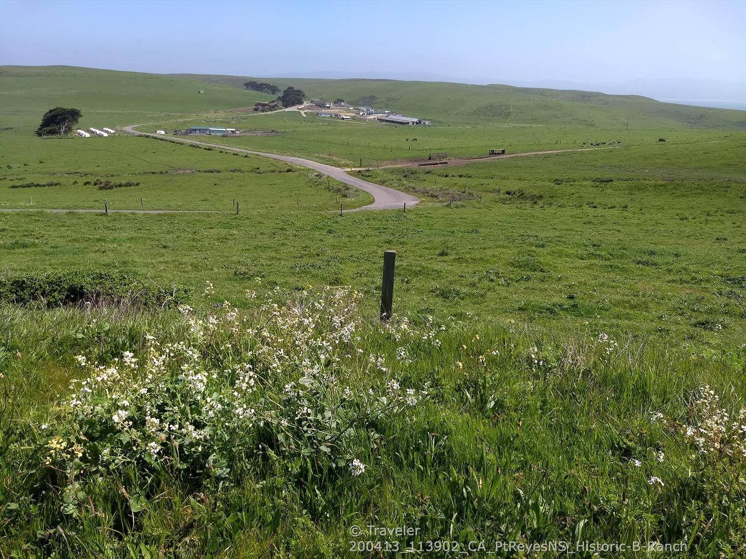 Expansive green rolling hills with a winding road leading to distant buildings. - Sea Lions Cove Overlook – Whale Watching Overlook loop from Maritime Radio Historical Society