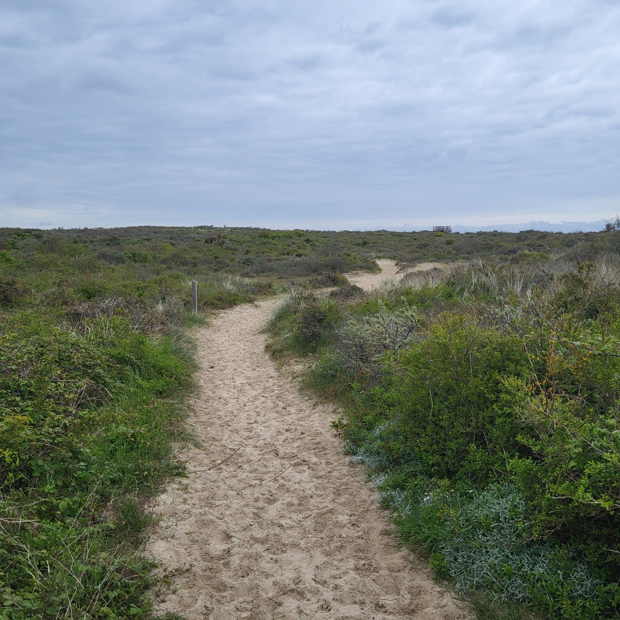 Schöner sandigen Dünenweg