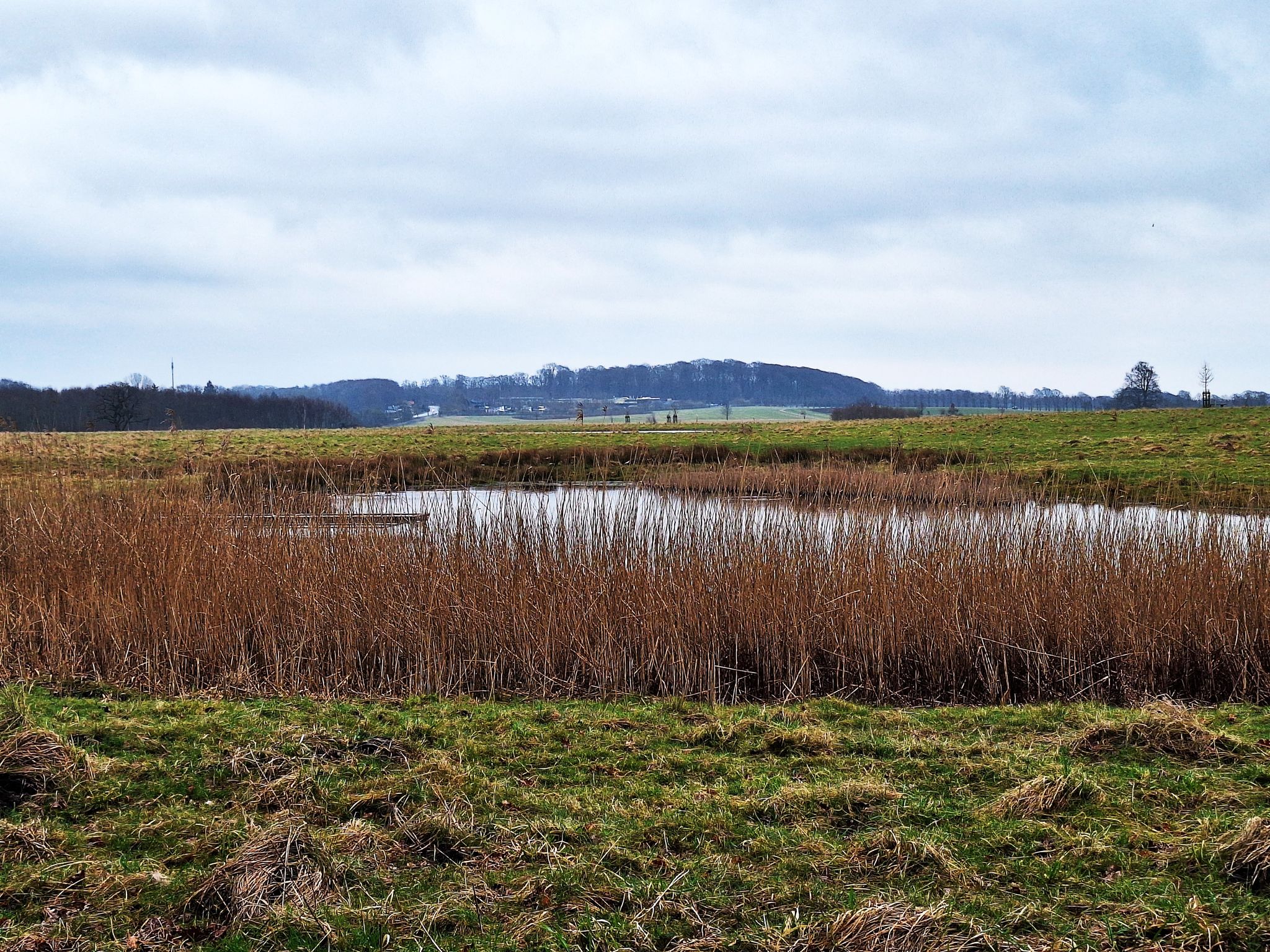 Hindsgavl Dyrehave