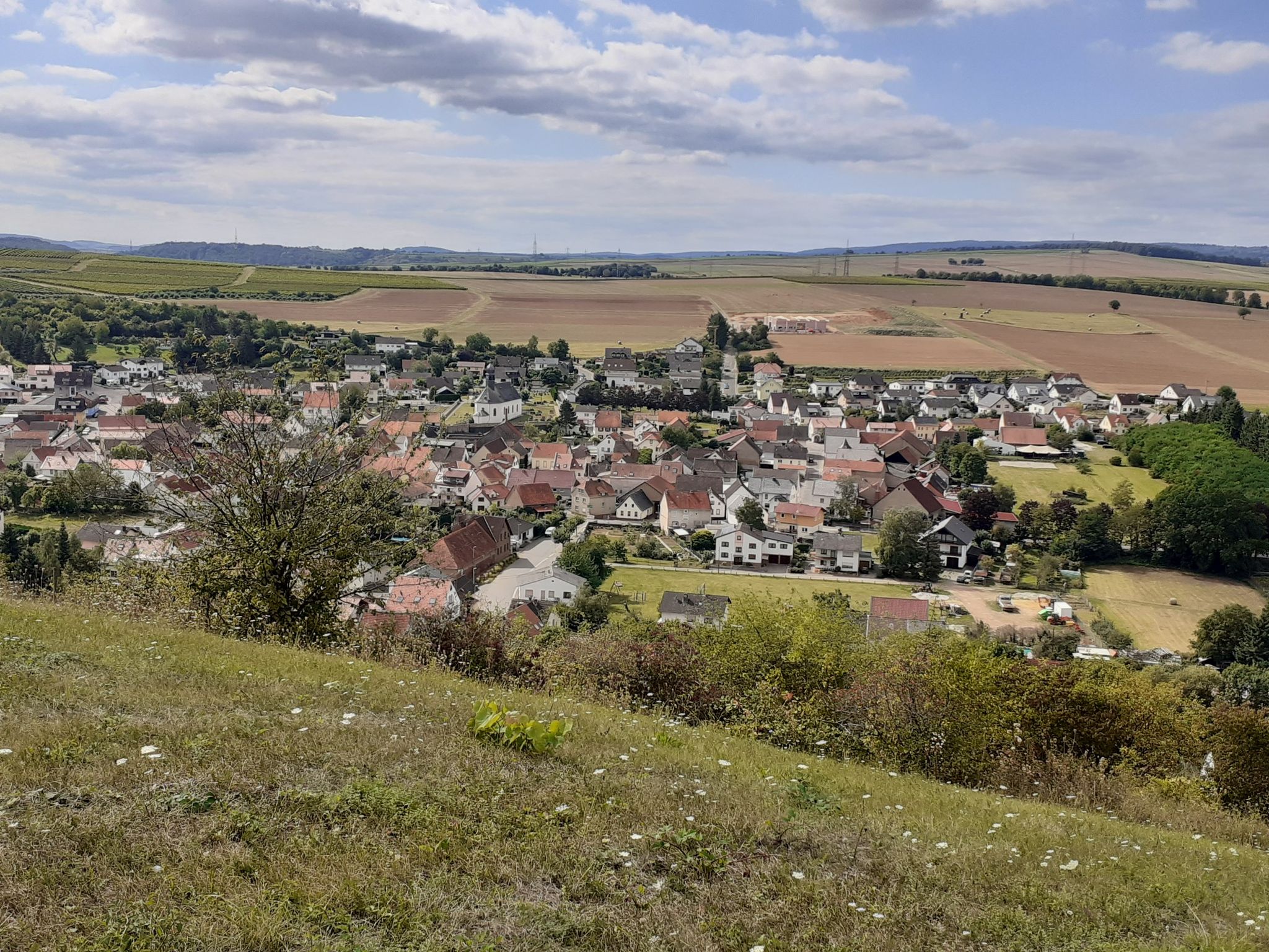 Blick auf Guldental