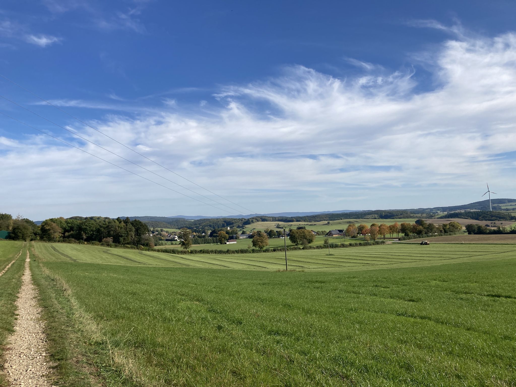 Schwirzheim