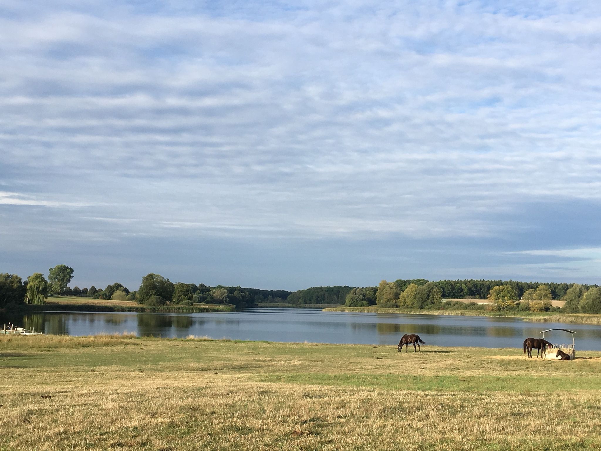 See Neetzka