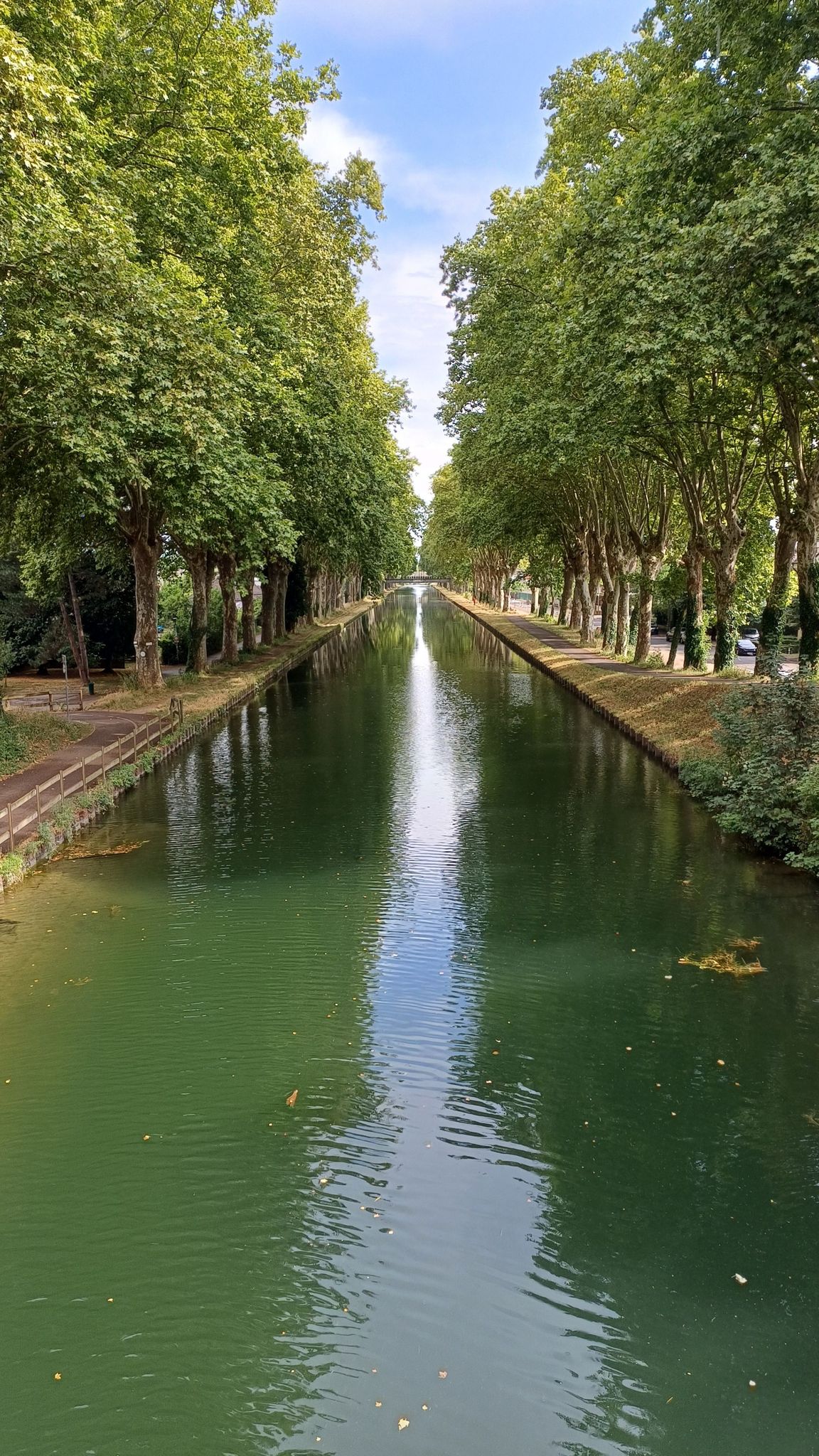 Rhone Rhine canal