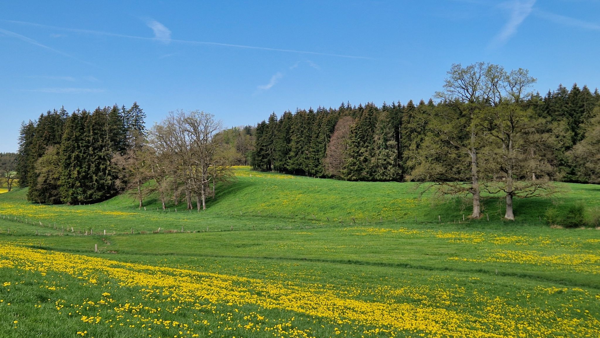 Landschaft bei Untersiffelhofen
