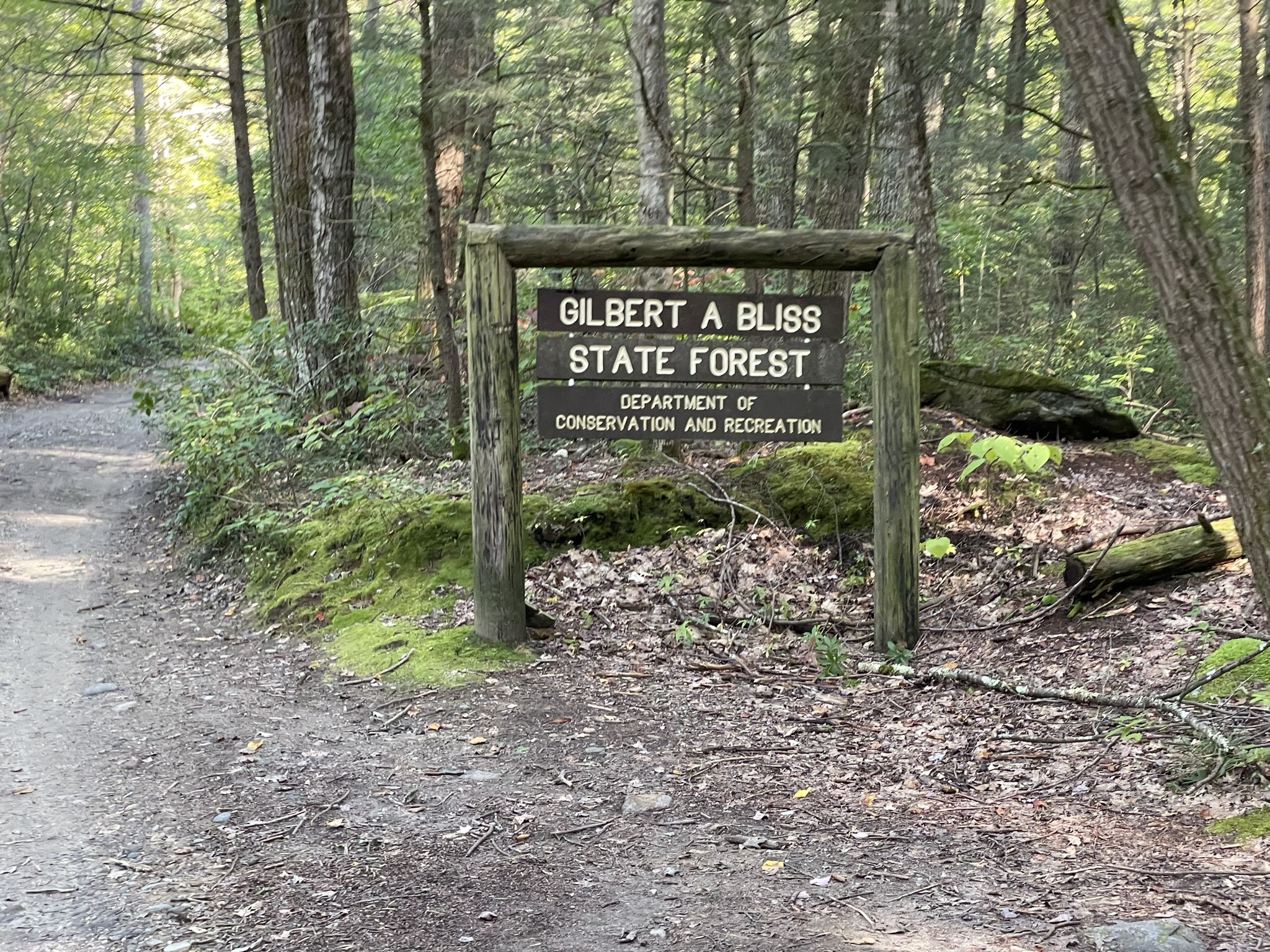 A wooden sign stands beside a dirt path in a sunlit, mossy forest. - Views of Westfield River loop from Westfield River Access