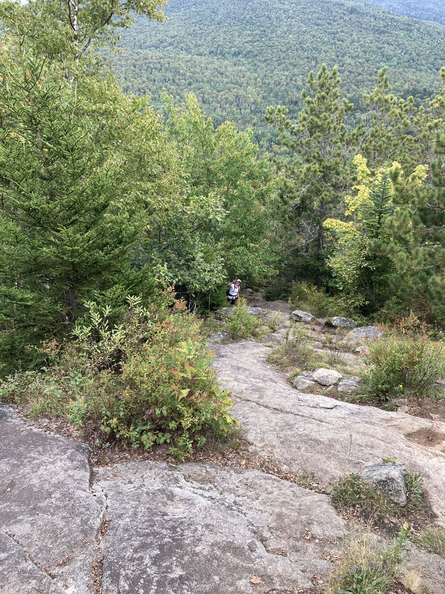 A person hikes down a rocky trail overlooking a dense green forest. - Big Crow Mountain Trail