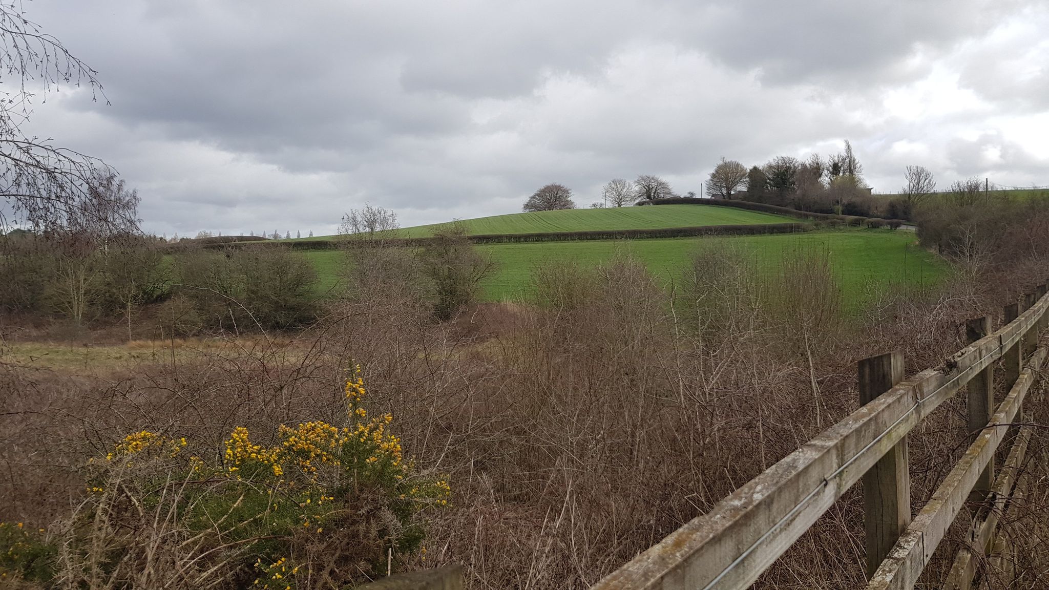 Hagg Hill