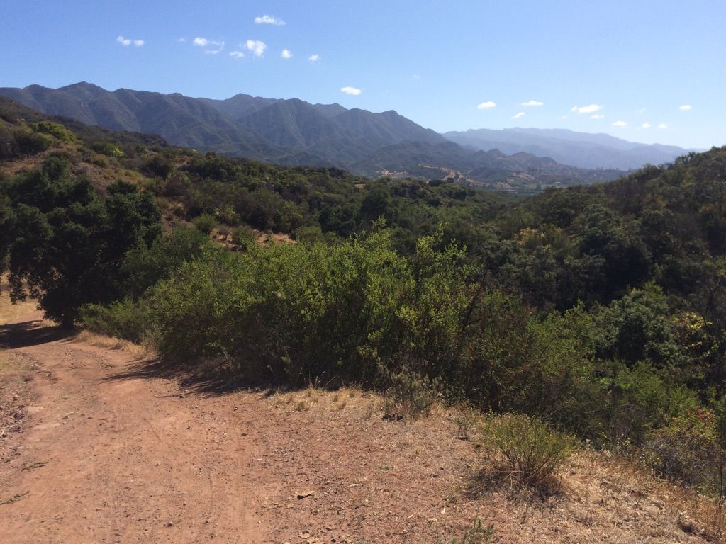 Dirt path overlooking a lush green valley with distant mountains under a blue sky. - Wills and Rice Canyon Loop