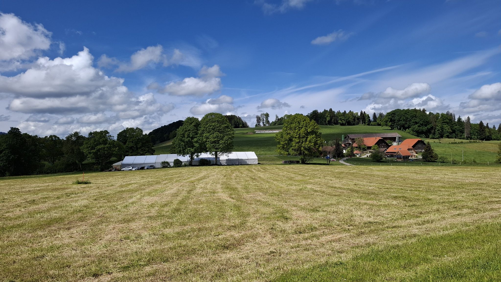 Feldschiessen Plasselb[Neuhaus]