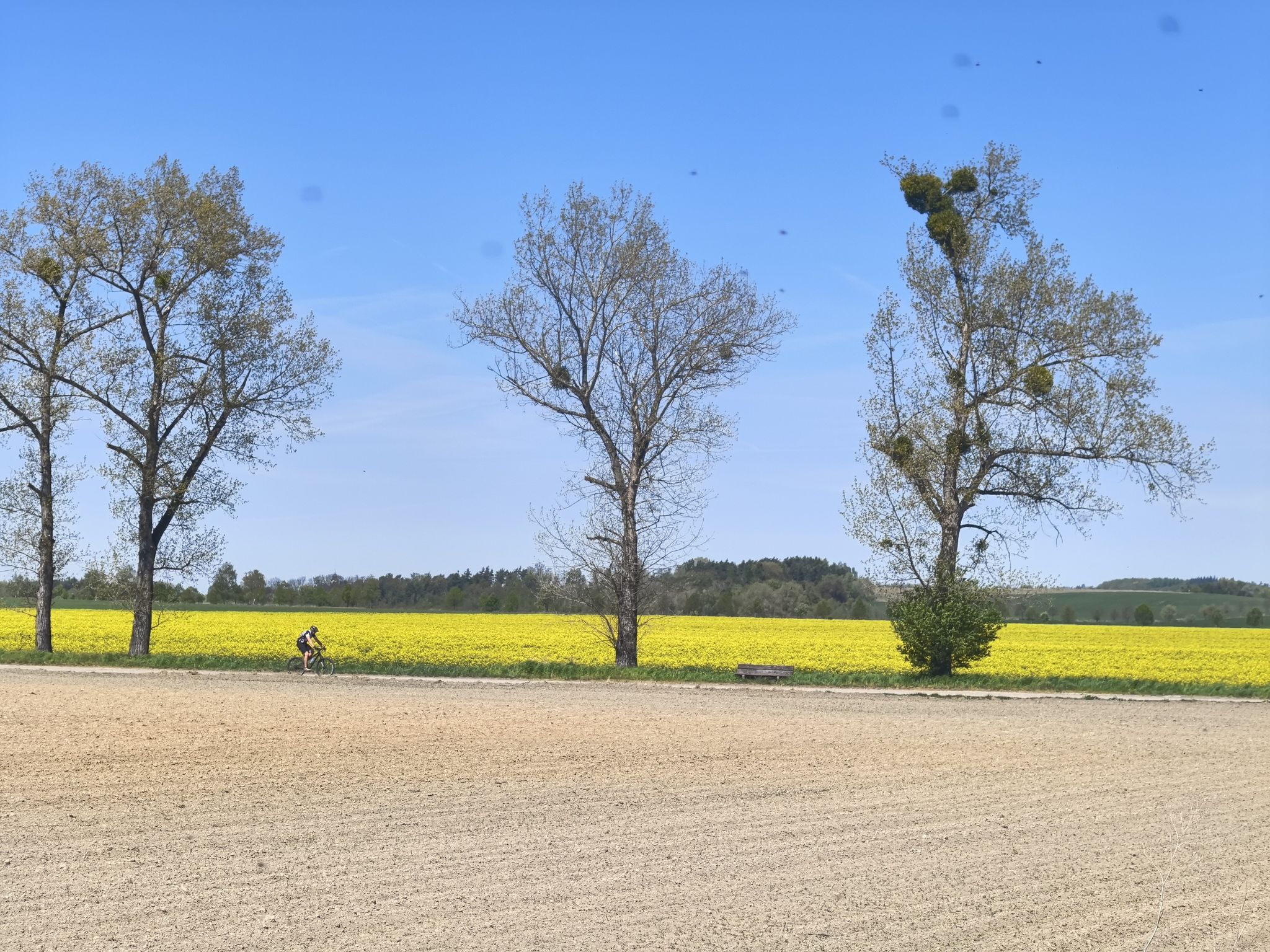 Dziś dominuje żółte.