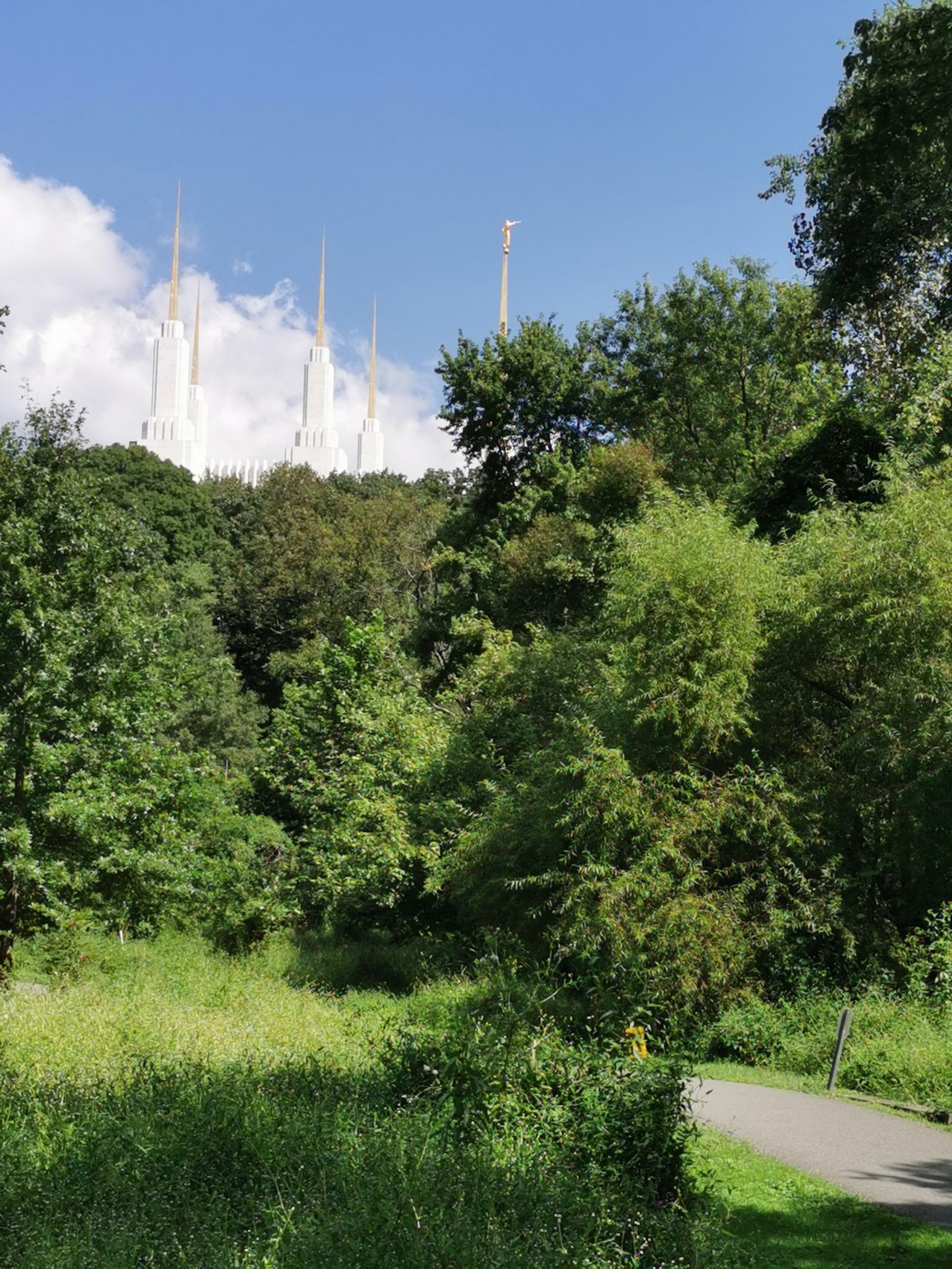 White spires rise above a vibrant green forest with a path below. - Water fountain on Beach Drive loop from Wheaton