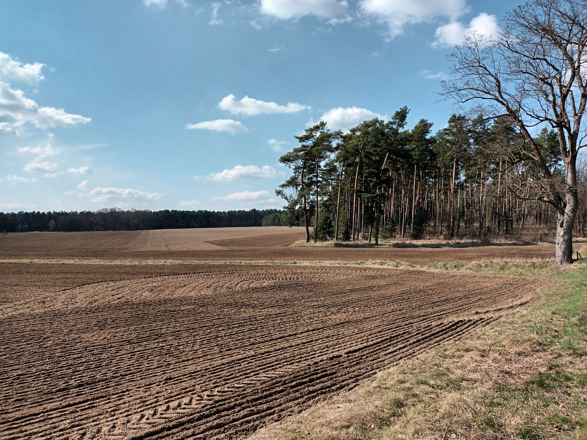 die Weiten von Jerischke - Fahrradstraße nach Preschen