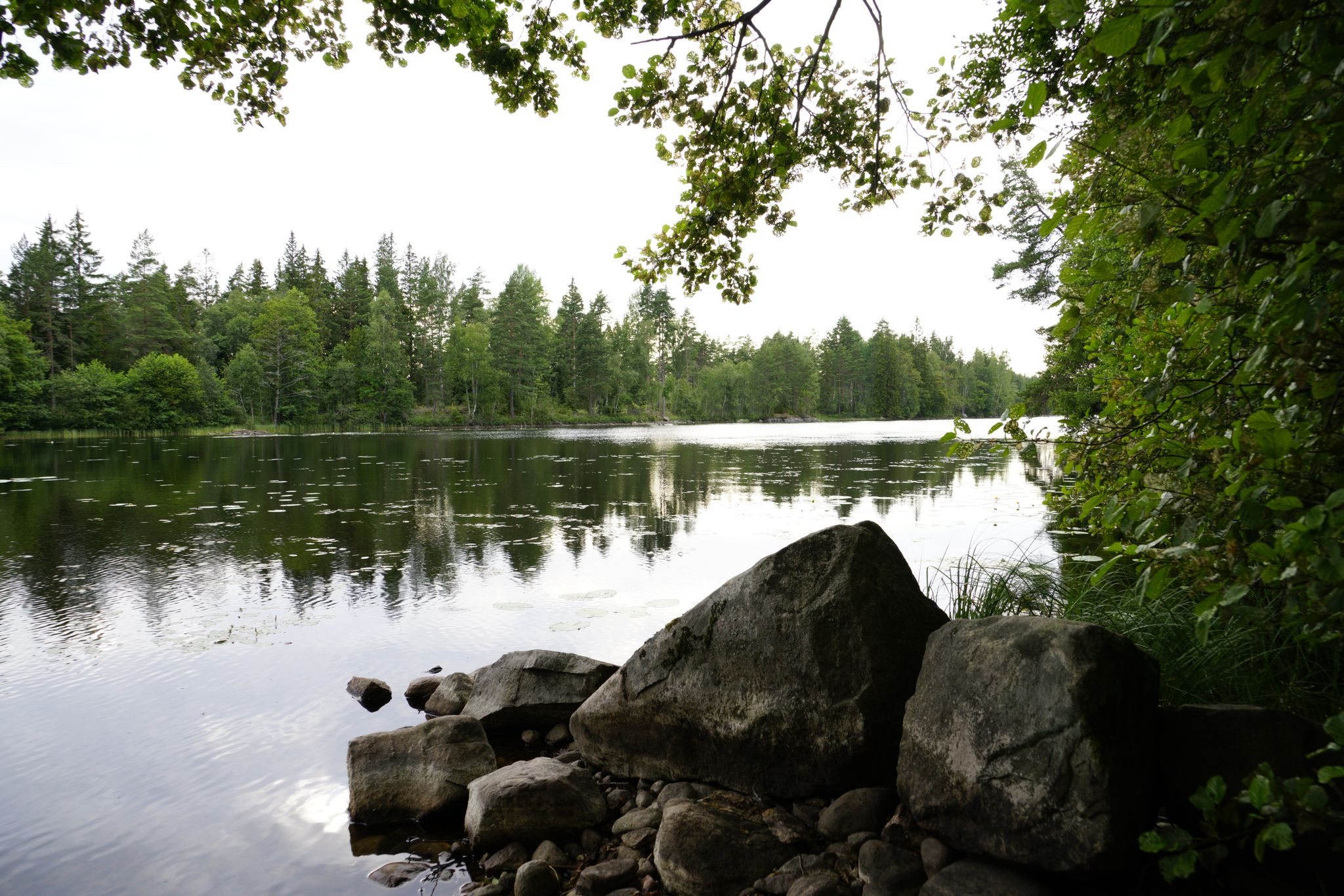 Romantischer Rosjön
