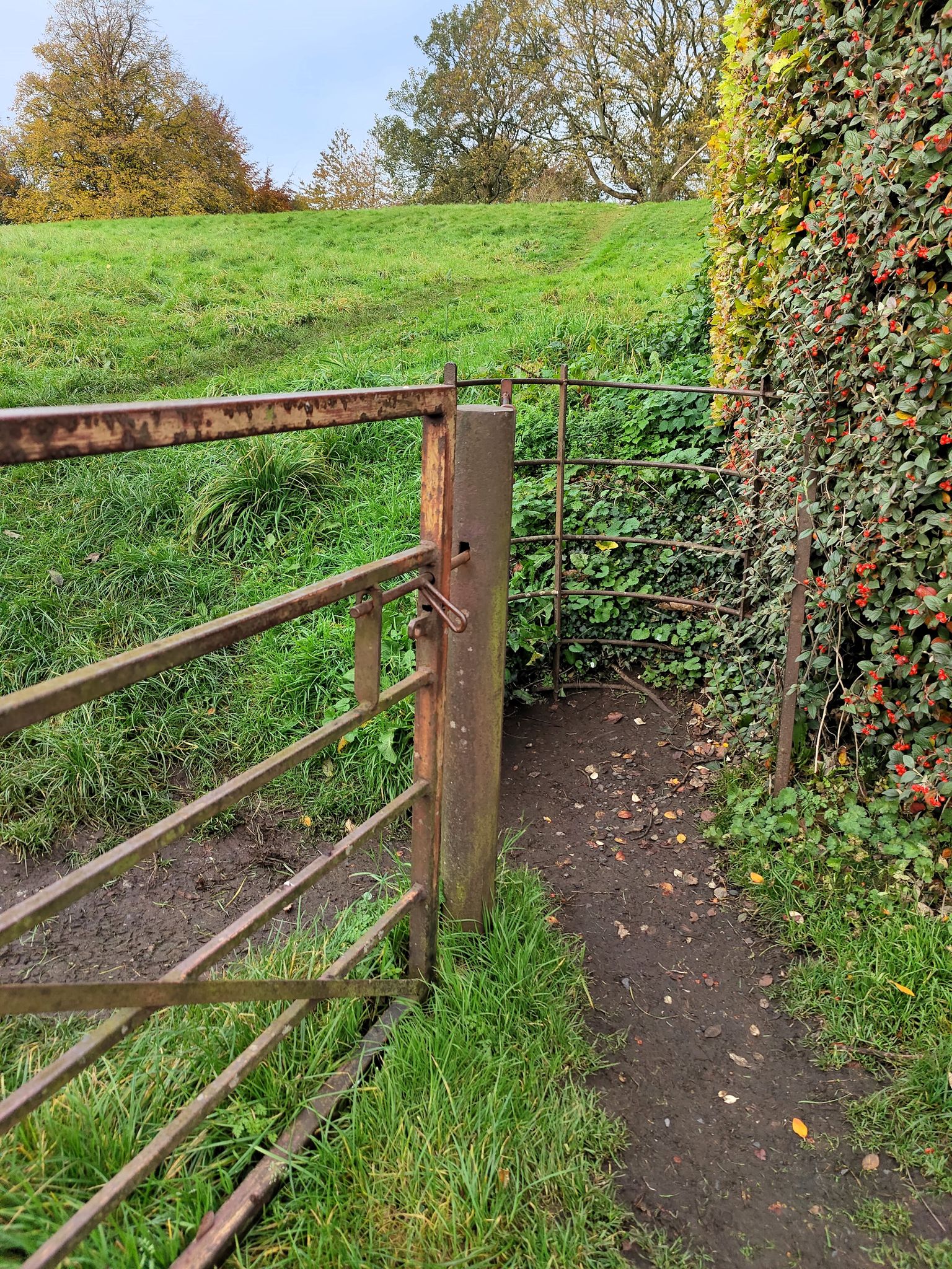 Gate from Gelt Road to The Rec'