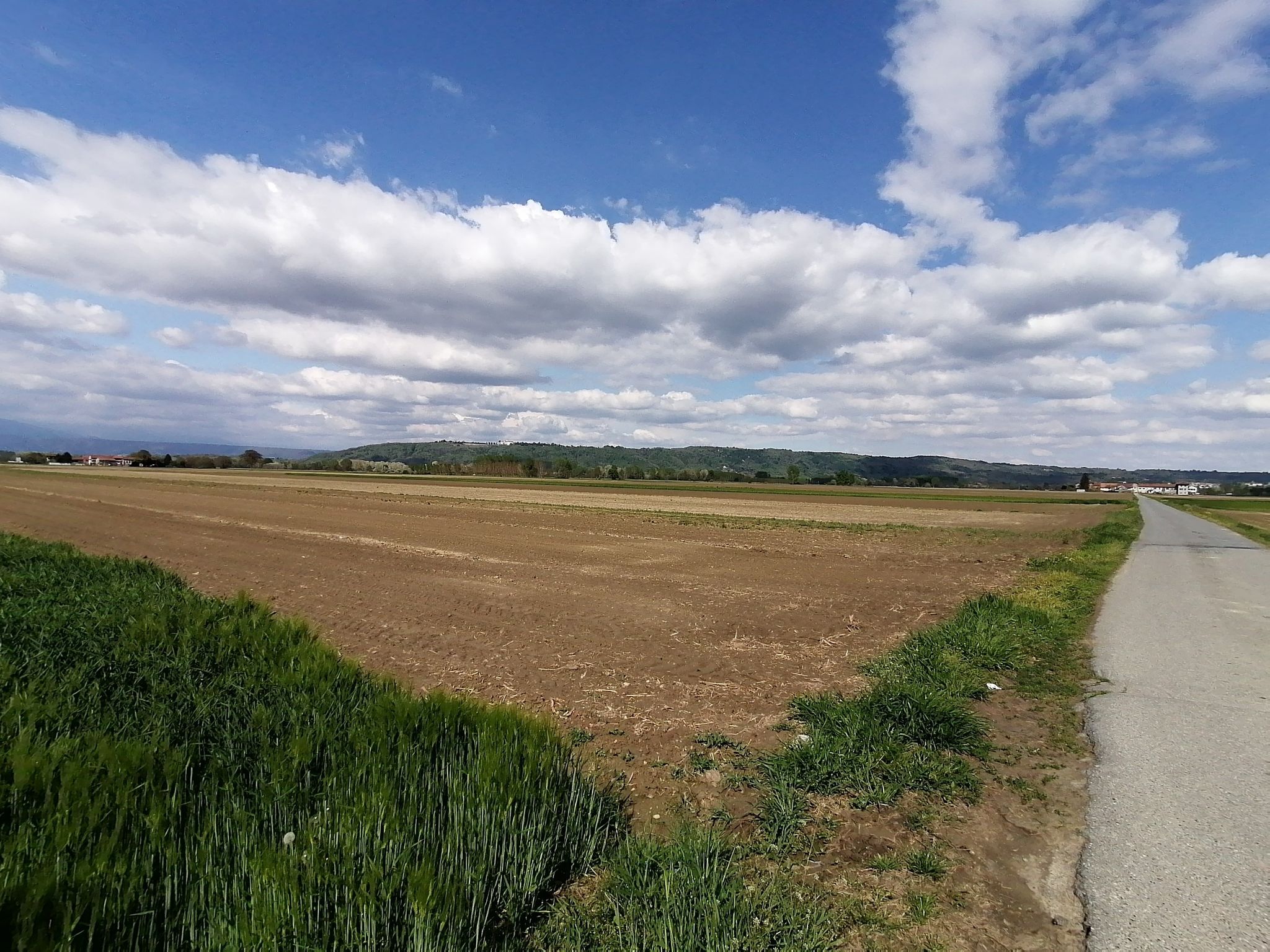 vista Masino