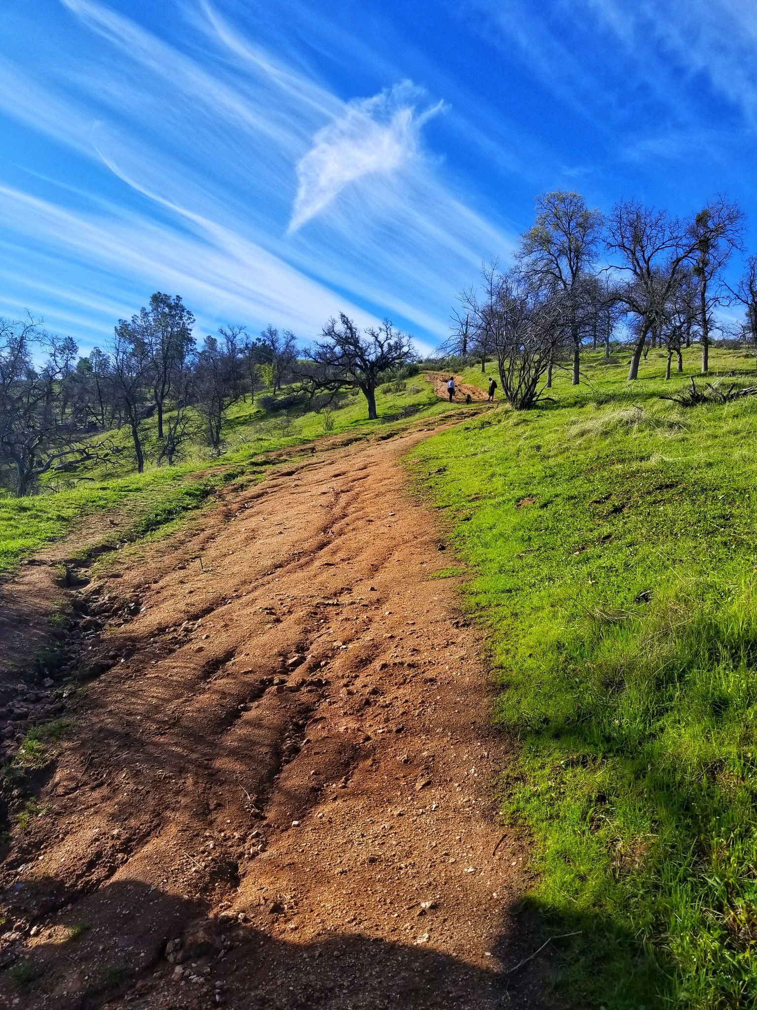 A wide dirt path ascends a sunny green hillside with distant hikers. - Pincushion Peak Trail