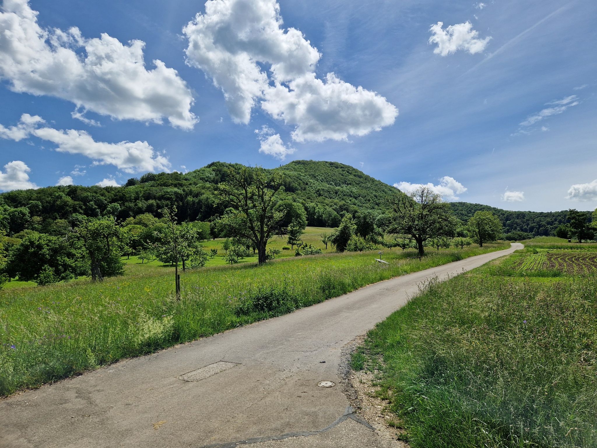 Grasberg