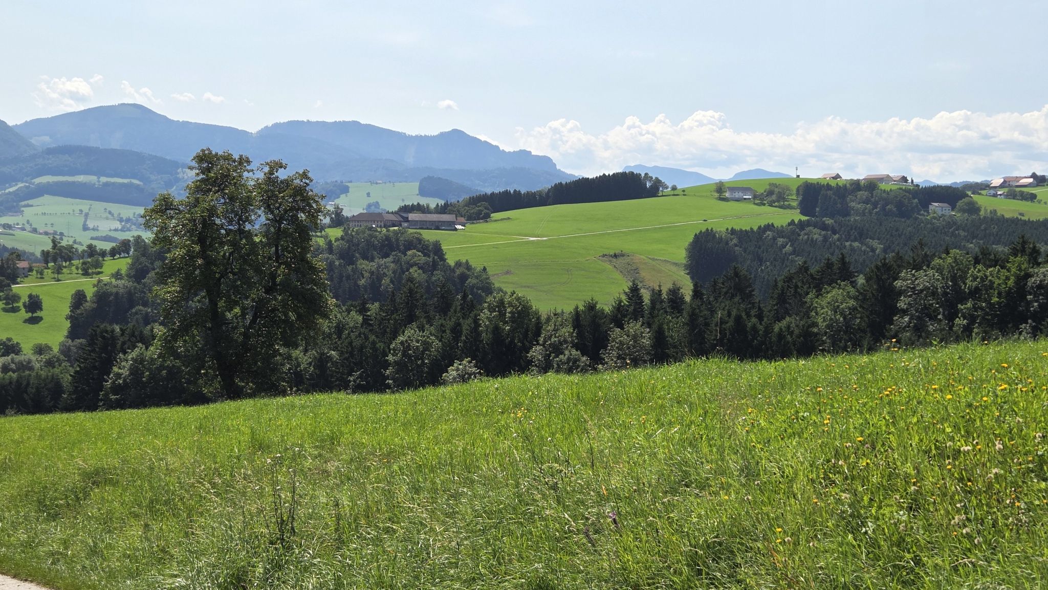 Blick von Waldneukirchen