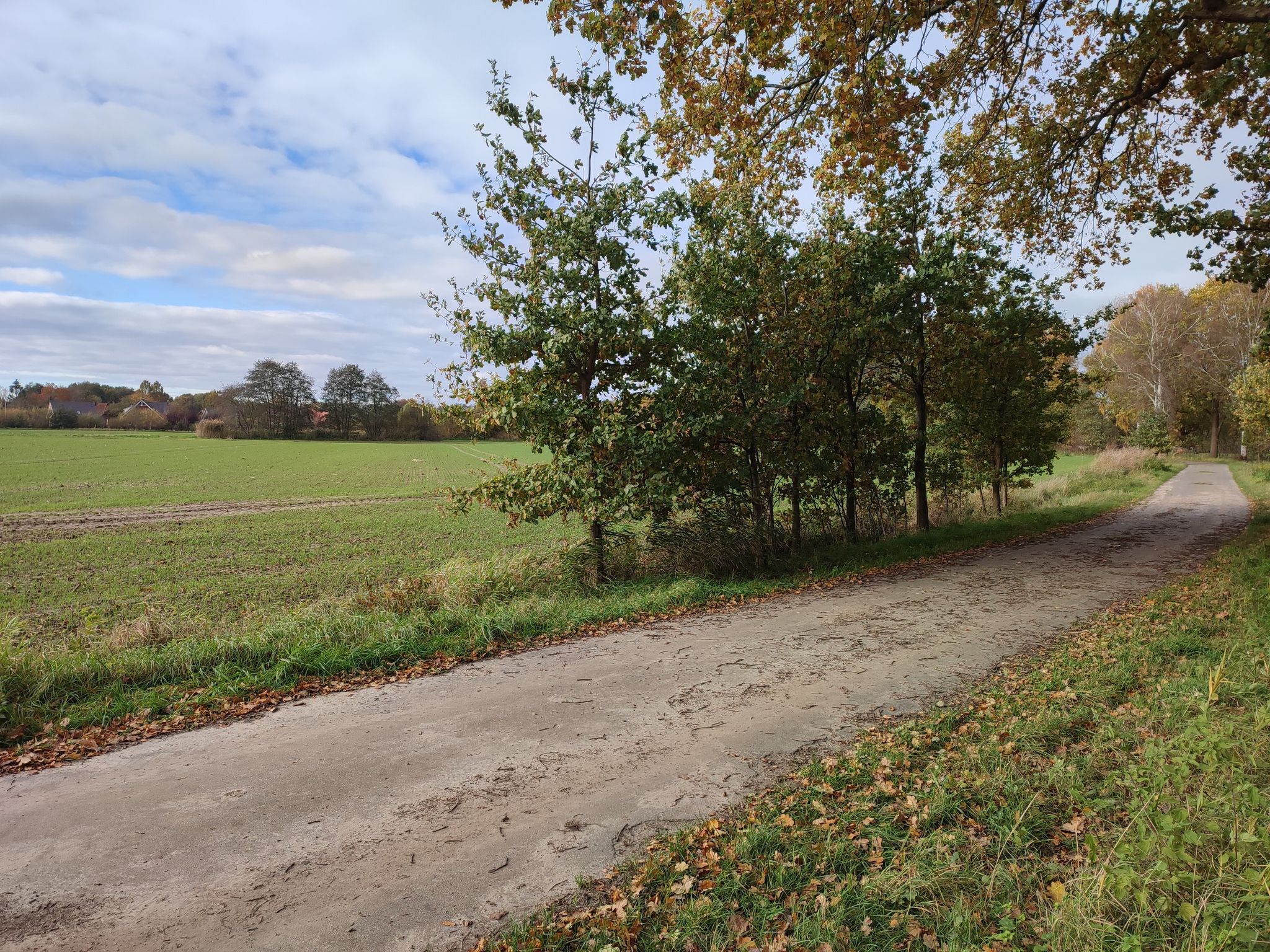 Bank bei jürgensdorf