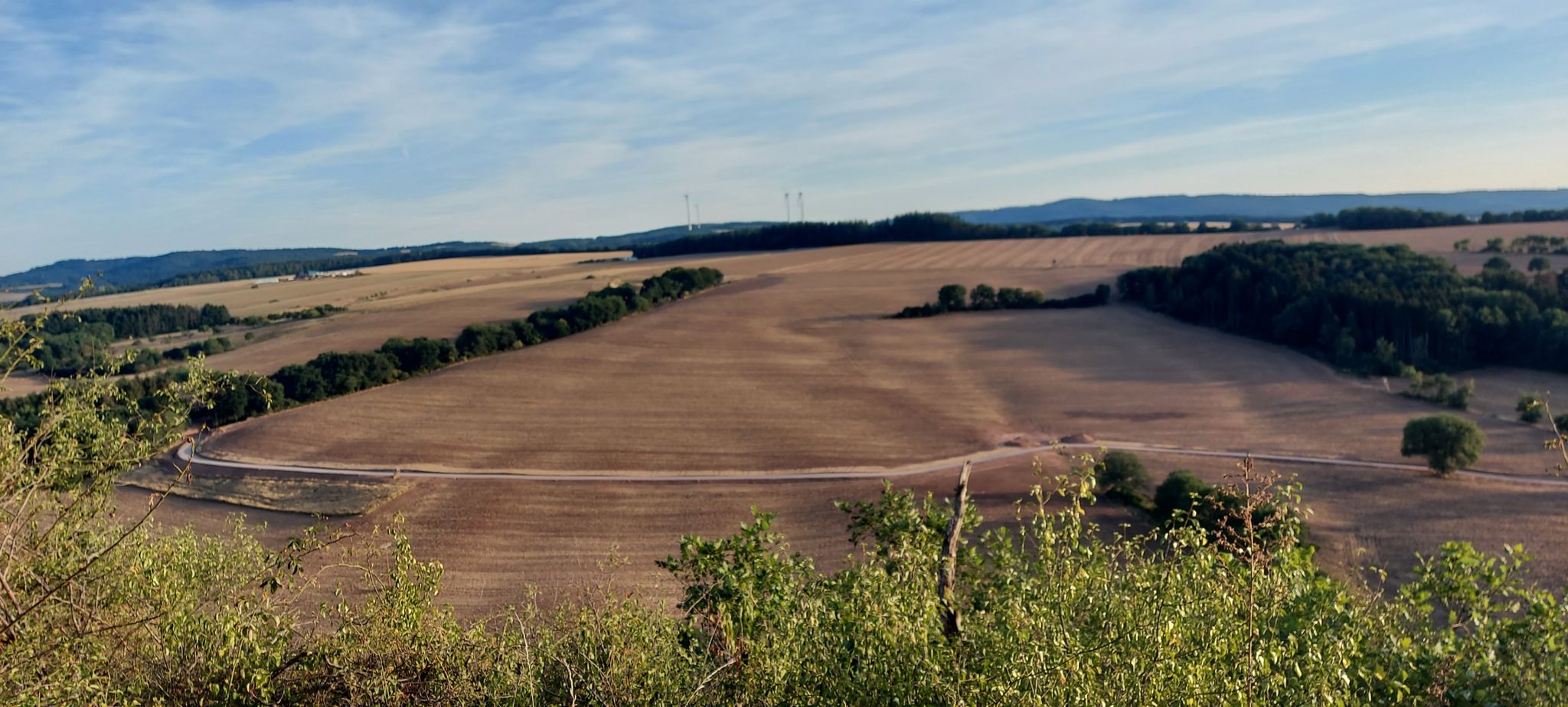 blick auf den neuen radweg