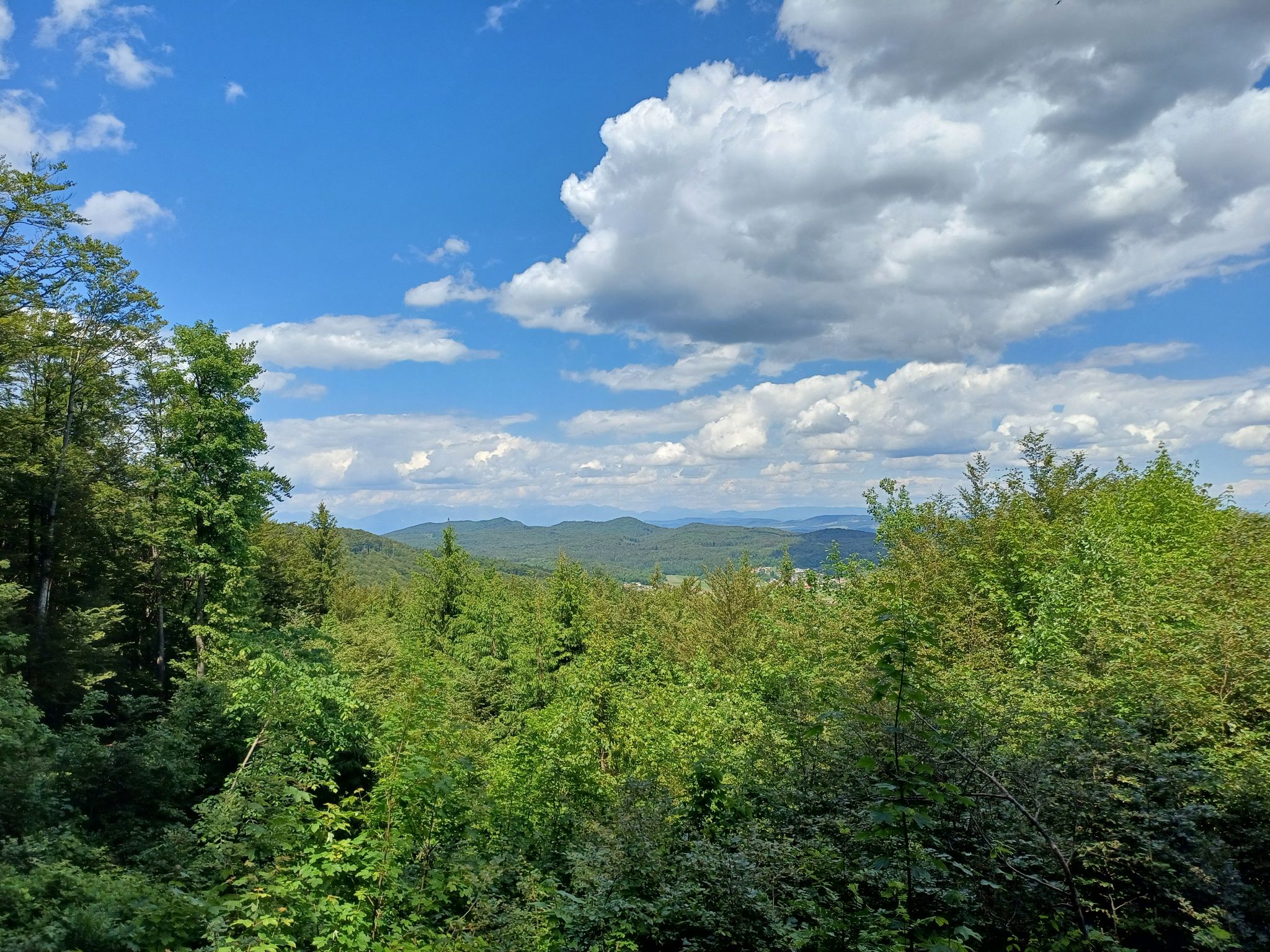 View from path to the Videm