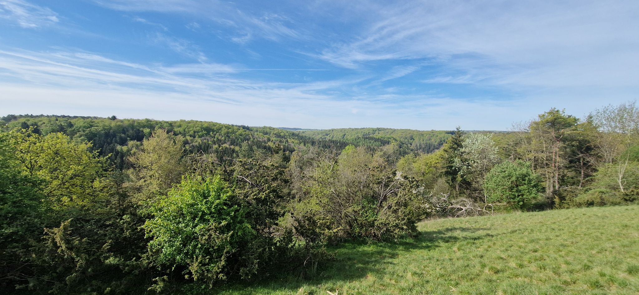 Blick über das Kiesental