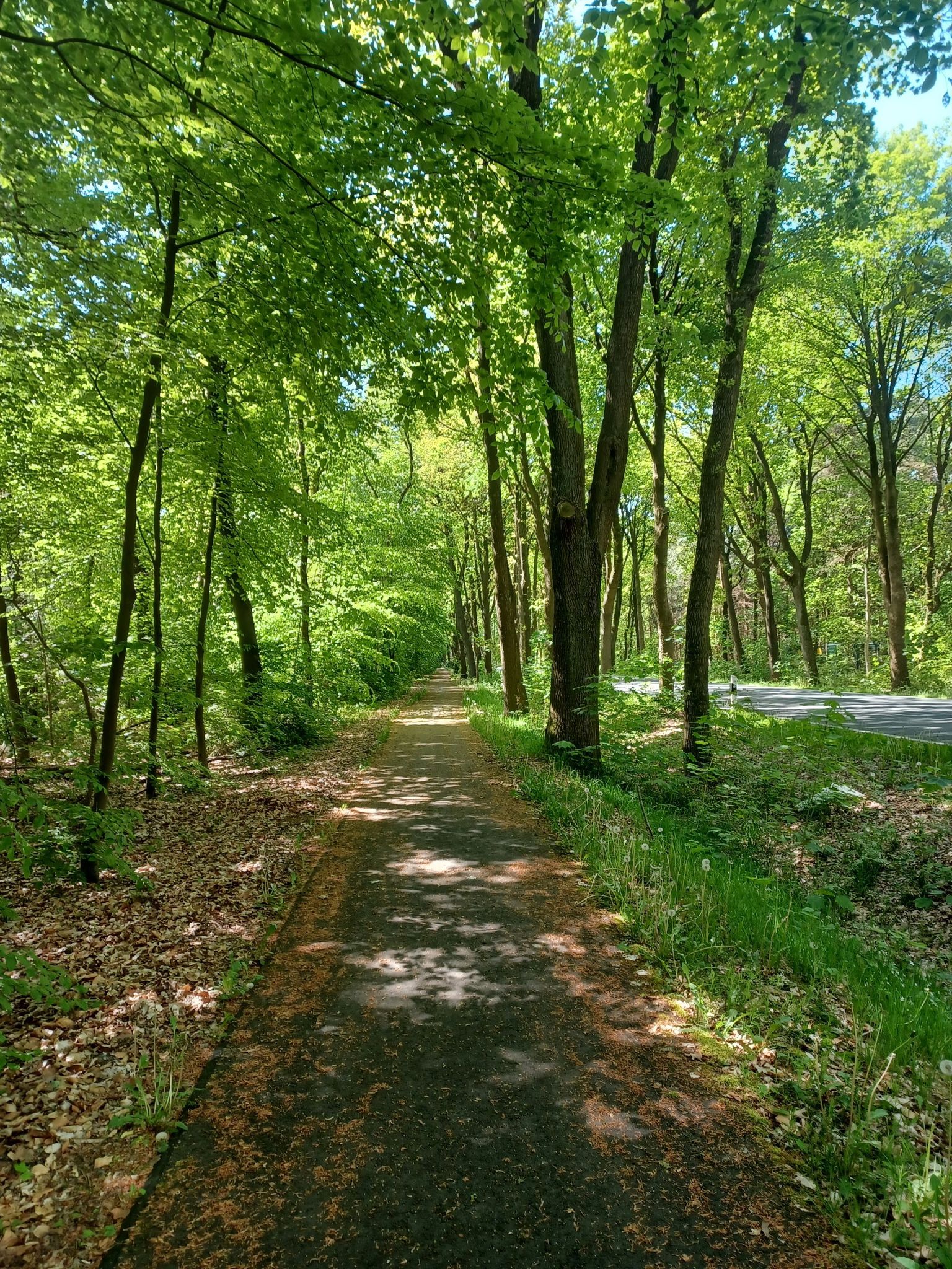 schöner Radweg
