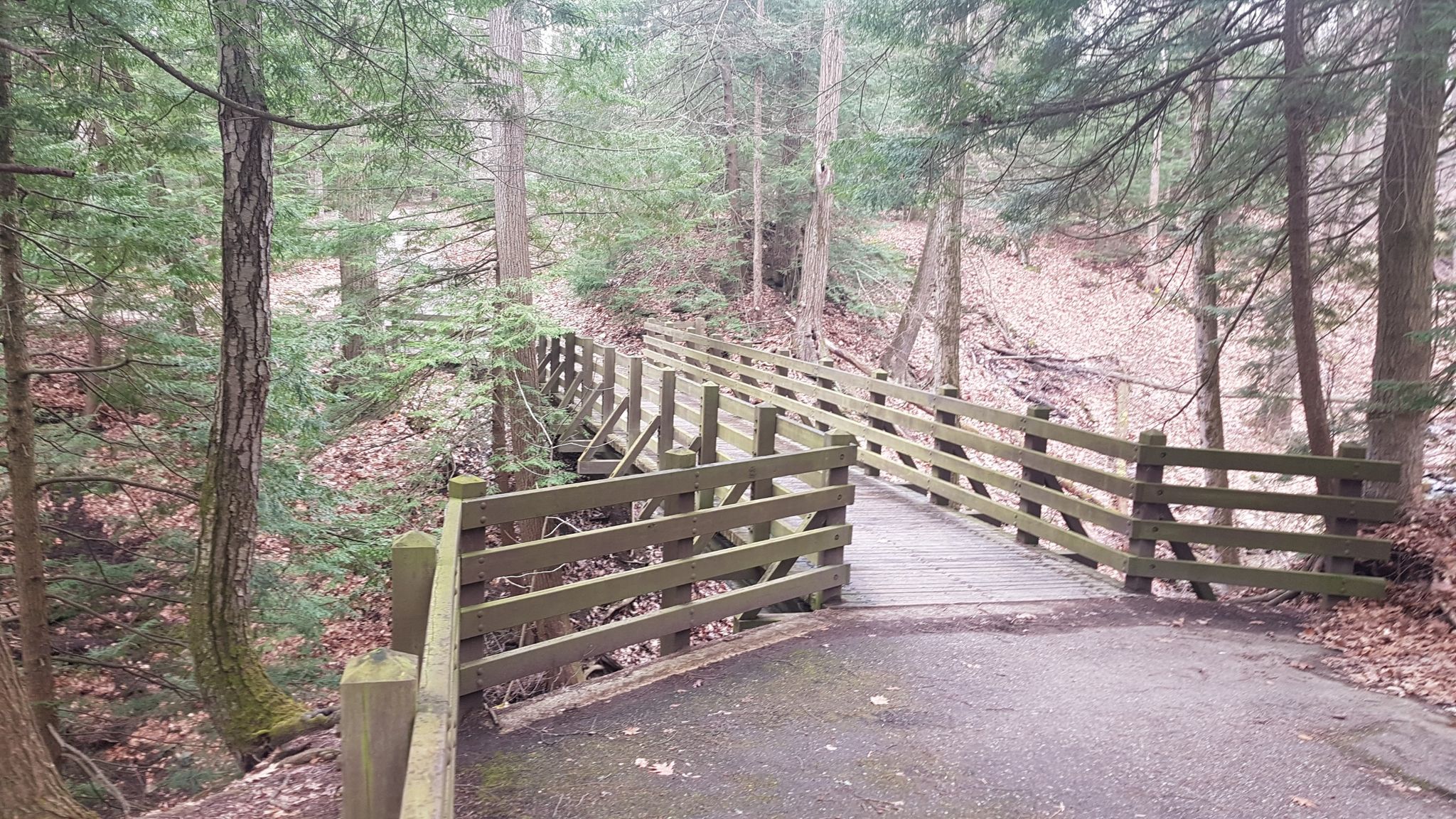 A long wooden pedestrian bridge winding through a dense forest. - South Chagrin Reservation – Henry Church Rock loop from Bentleyville