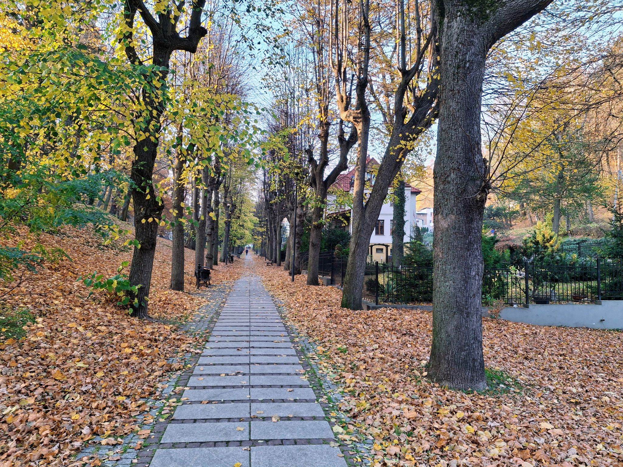 Park Zdrojowy. Aleja Niepodległości (Jedlina-Zdrój).