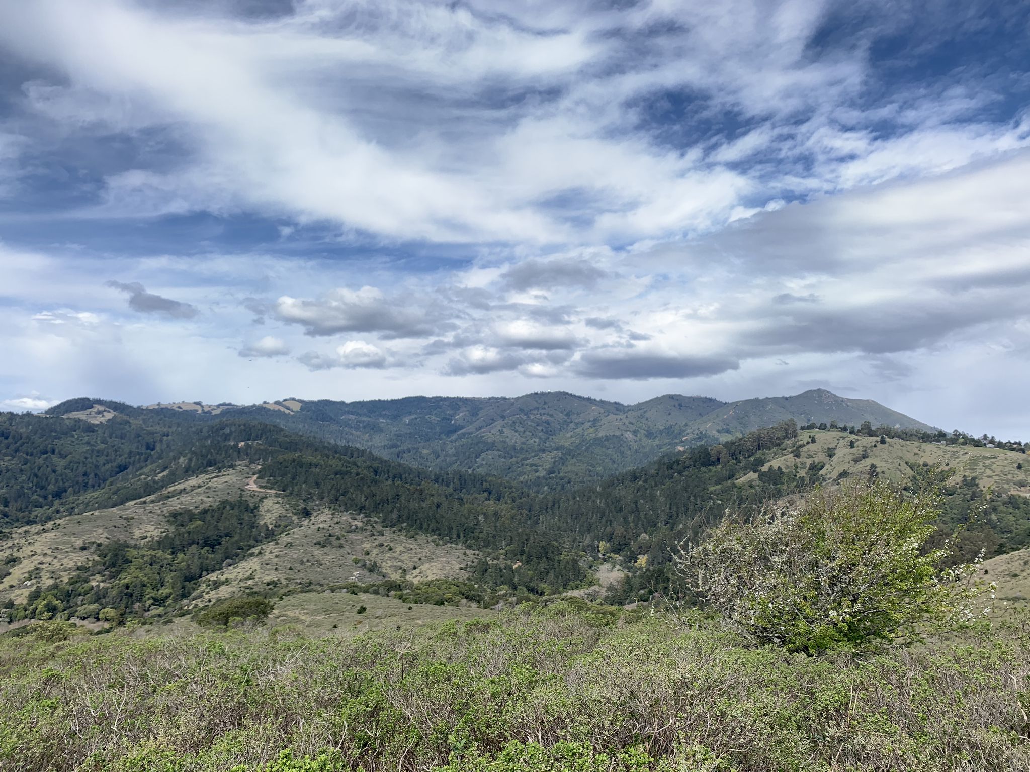 Expansive view of green, forested hills under a dramatic cloudy sky. - Dias Ridge and Redwood Creek Loop