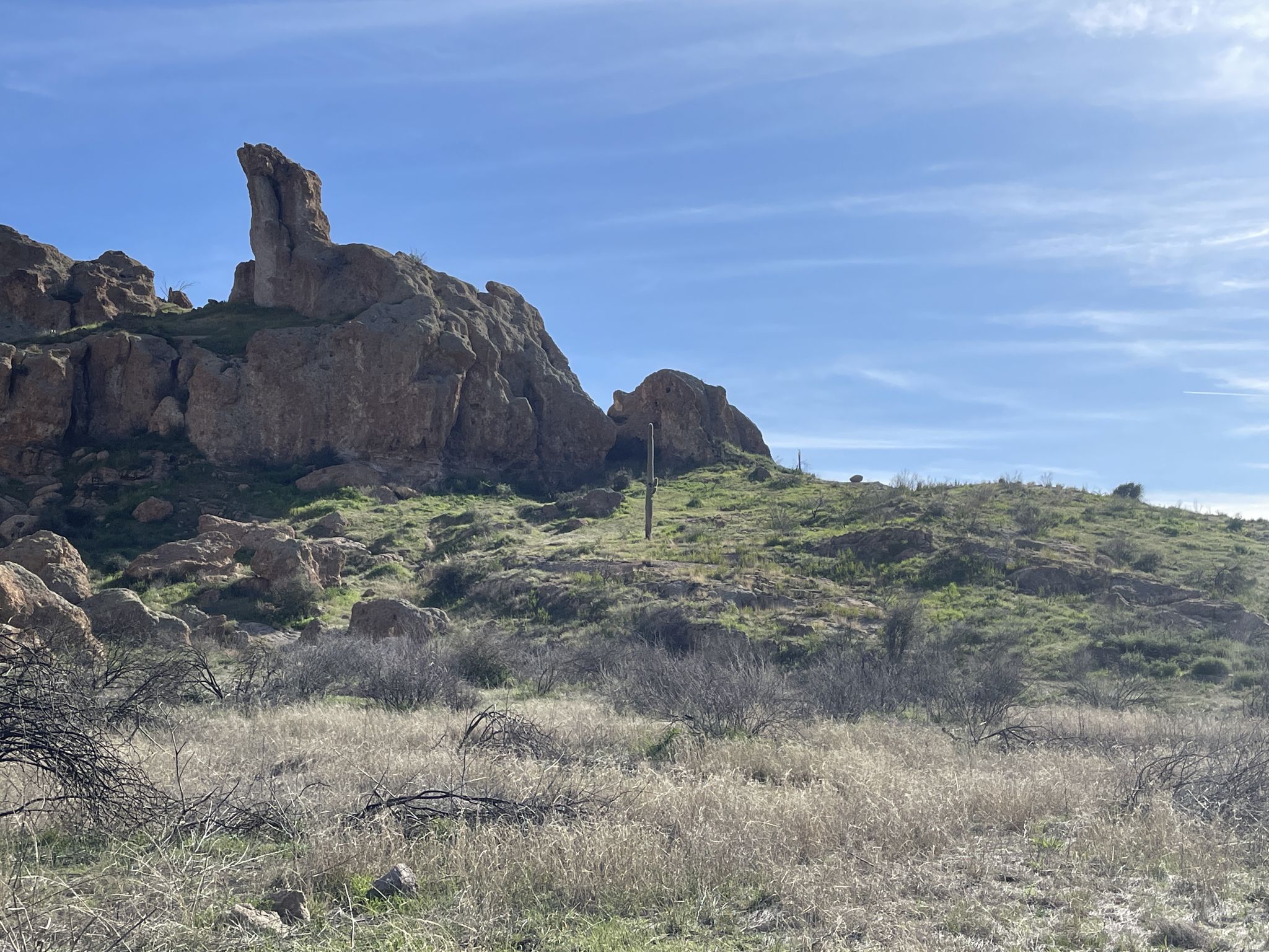 Rocky formations and green hills with a lone saguaro under a bright blue sky. - L.O.S.T. Trail #221 loop from Superior