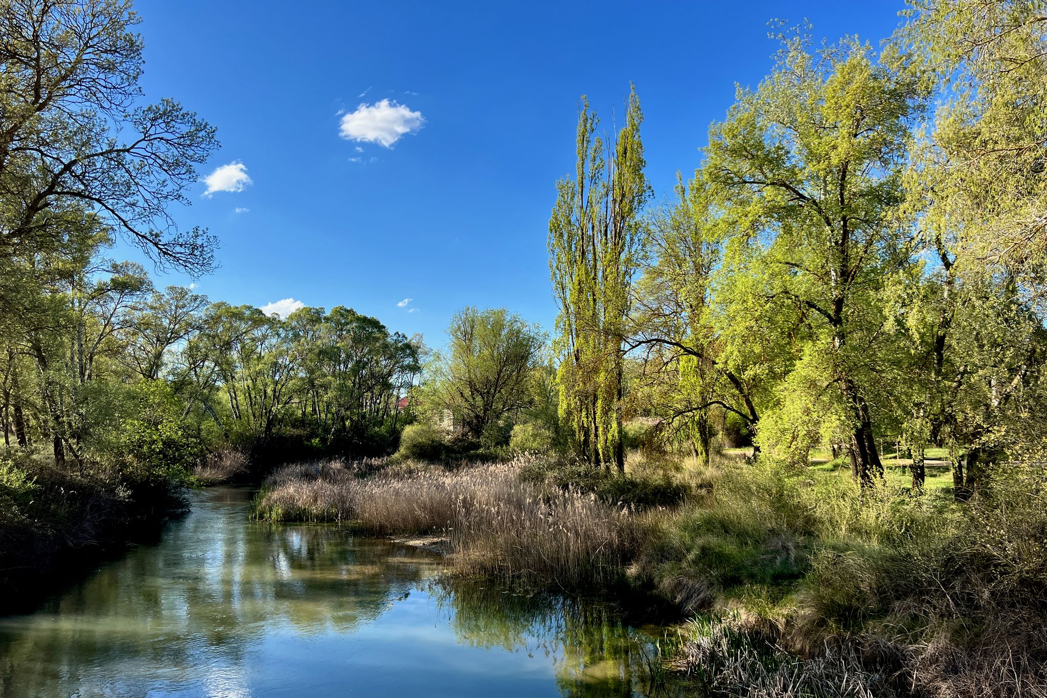 Río Júcar⁩, ⁨Alarcón⁩, ⁨Cuenca⁩