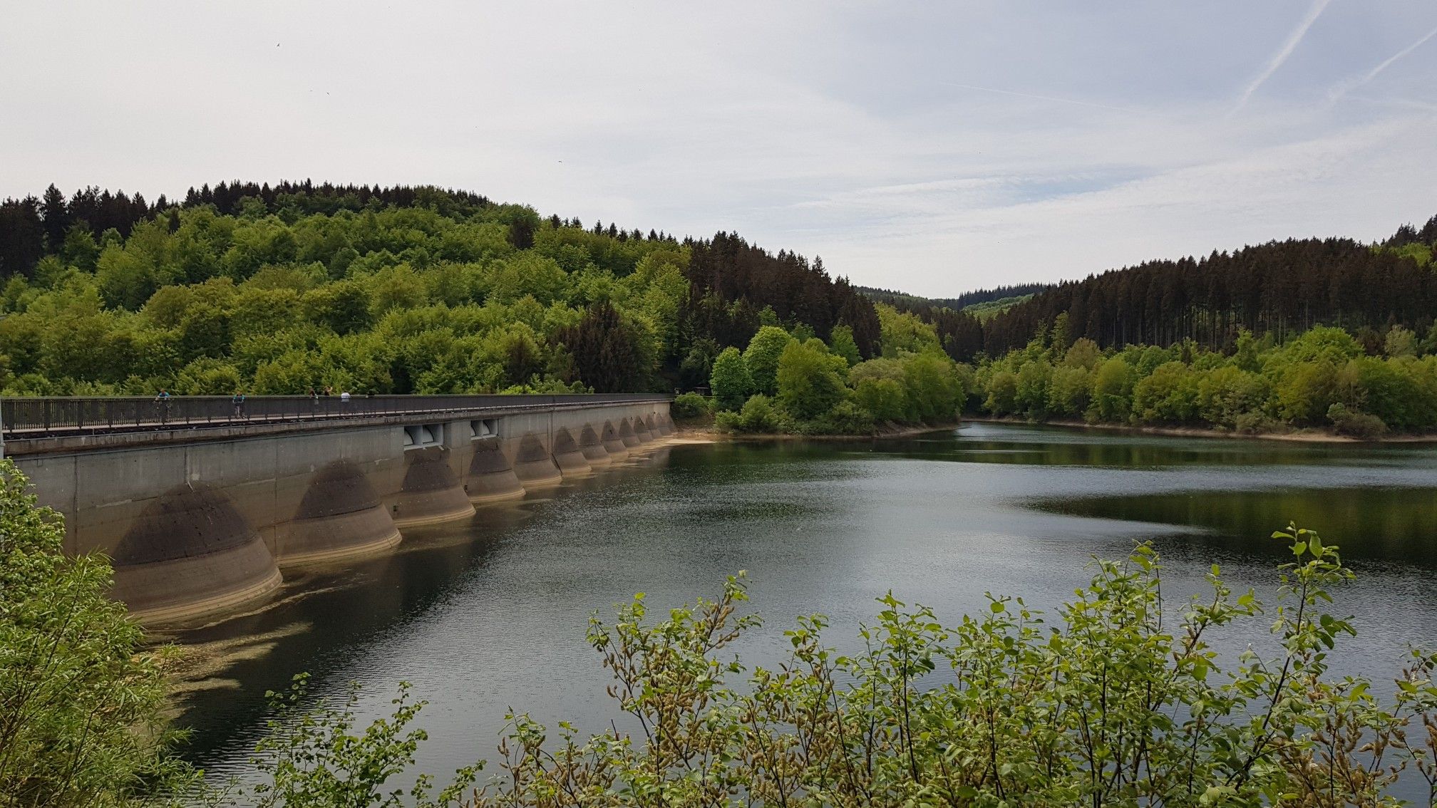 Blütenstaub an der Oleftalsperre