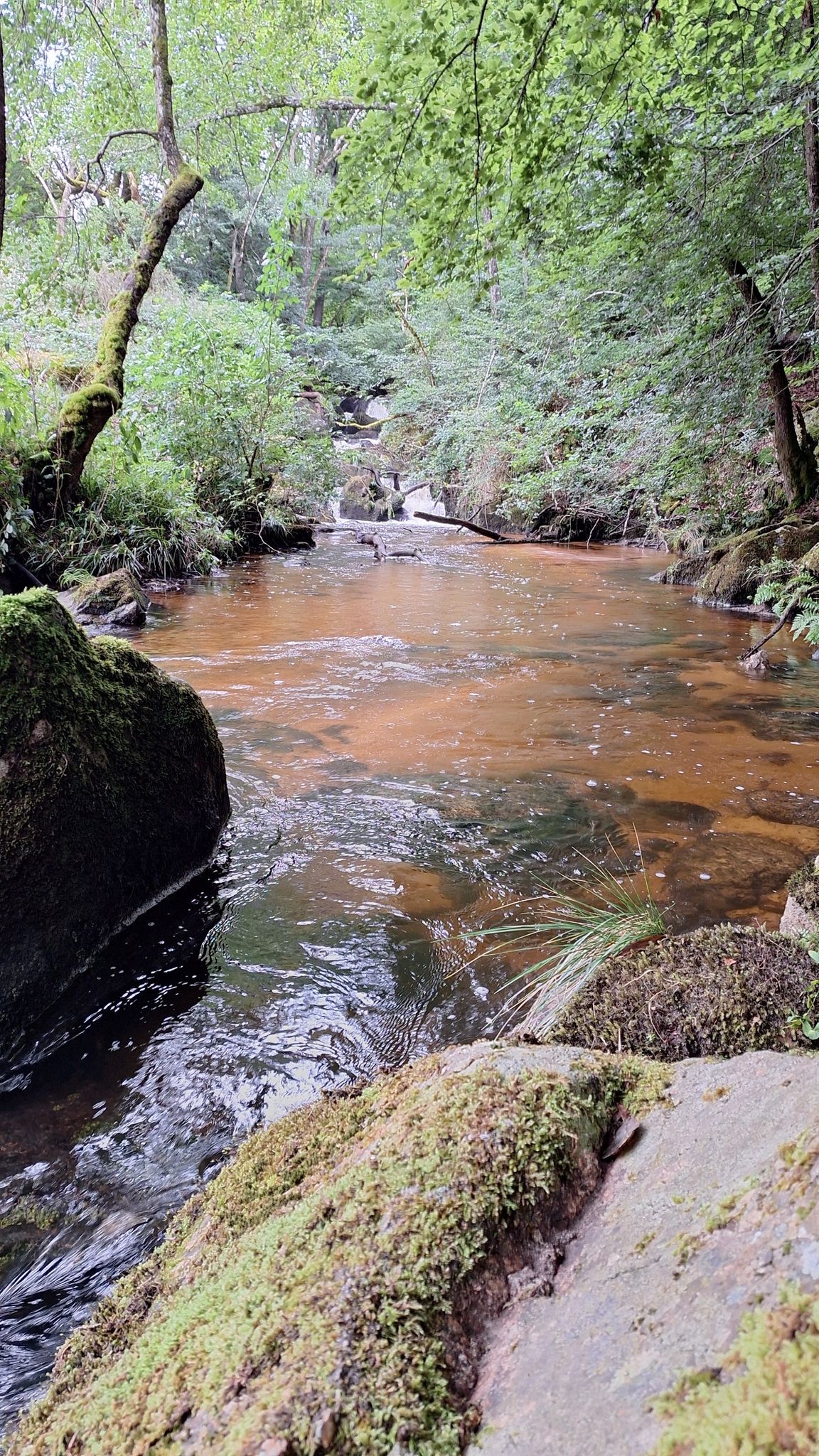 cascade