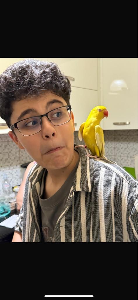 user avatar