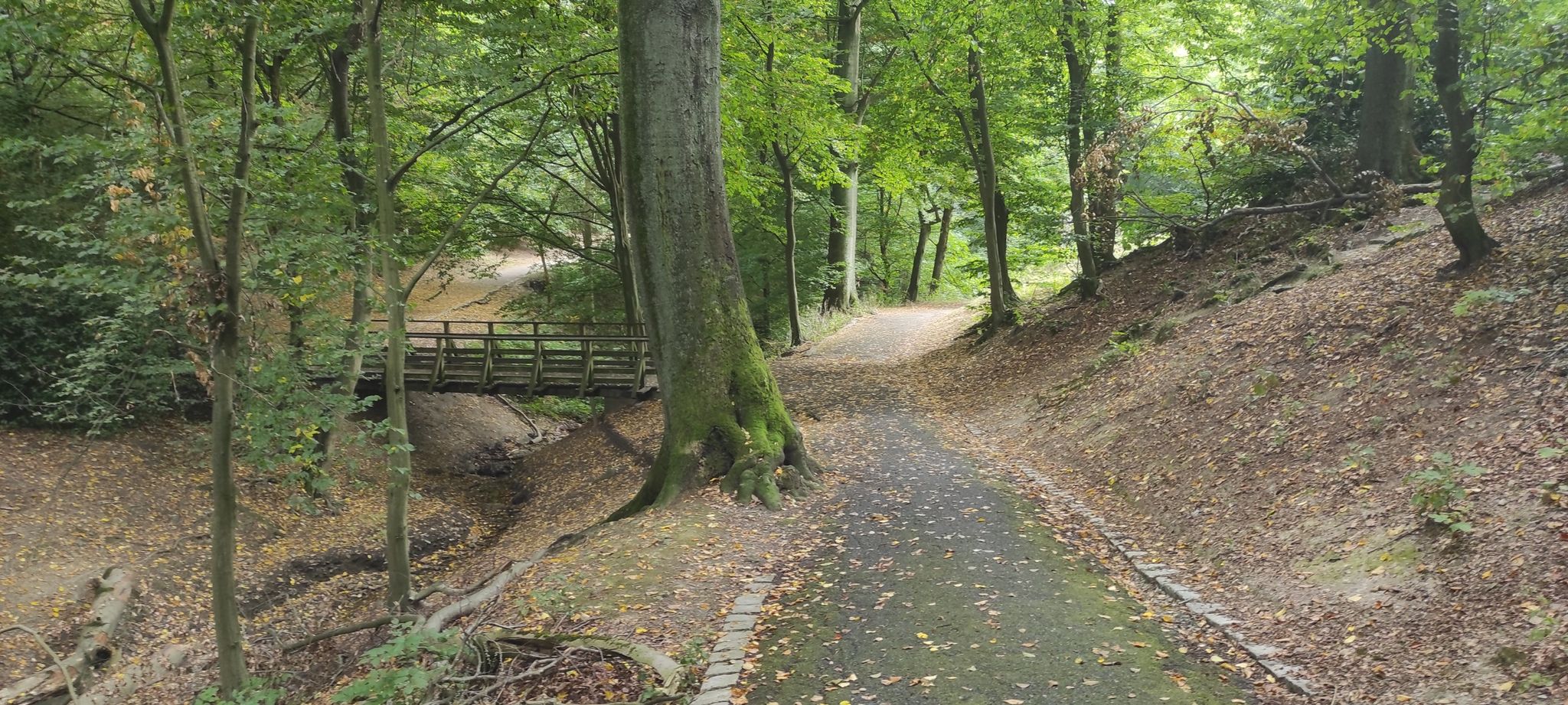 Bachlauf an der Zietenstraße