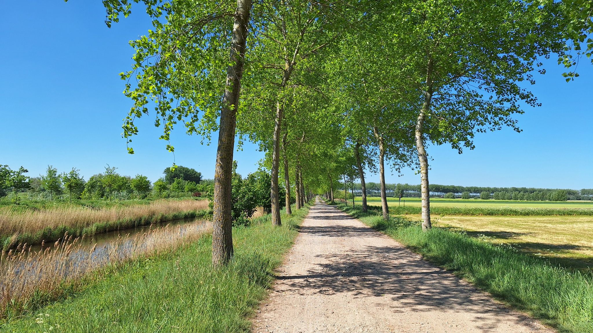 Gravel langs het Leopoldkanaal