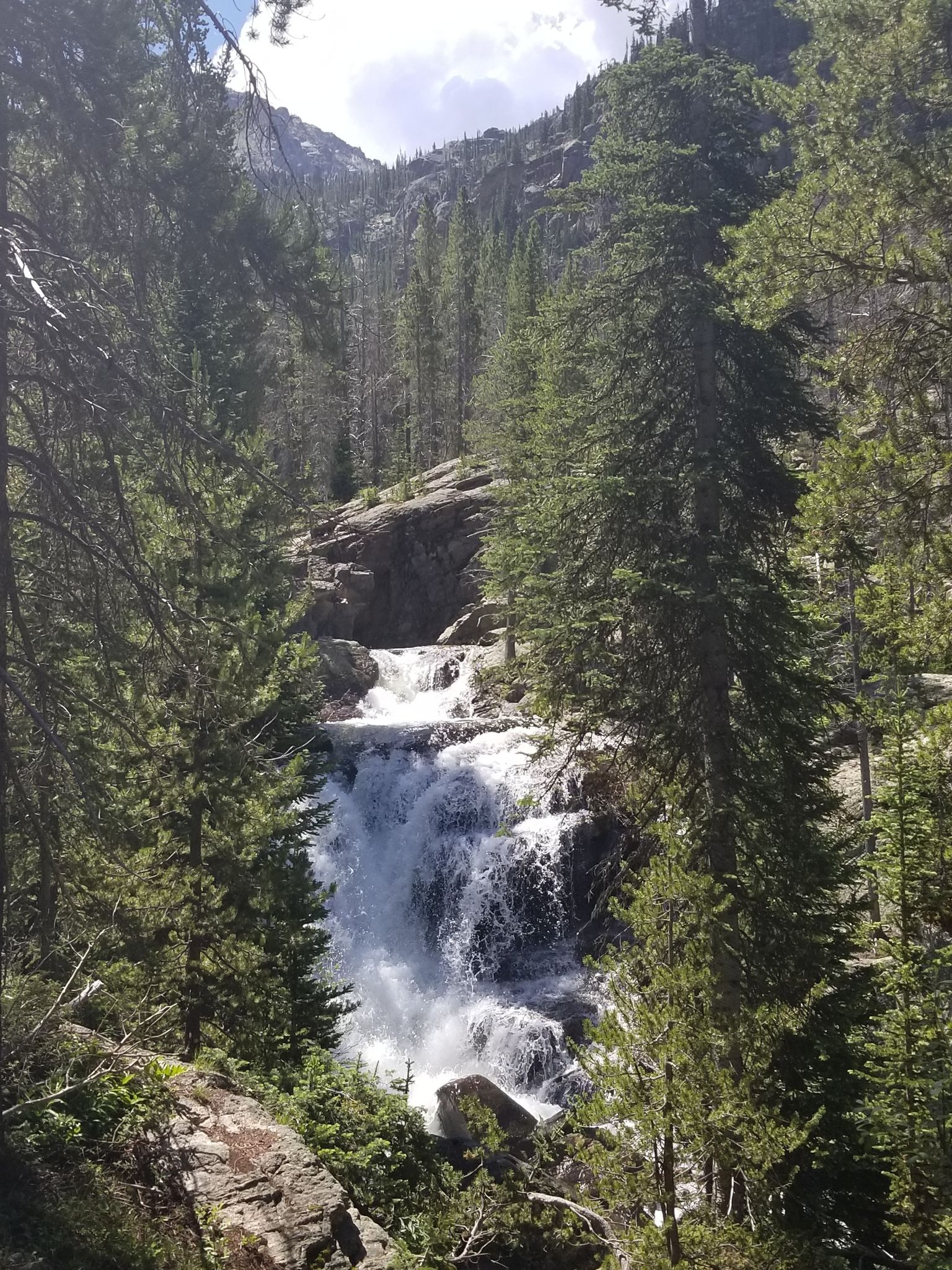 A powerful waterfall cascades through a dense pine forest on a sunny day. - Cascade Creek Trail