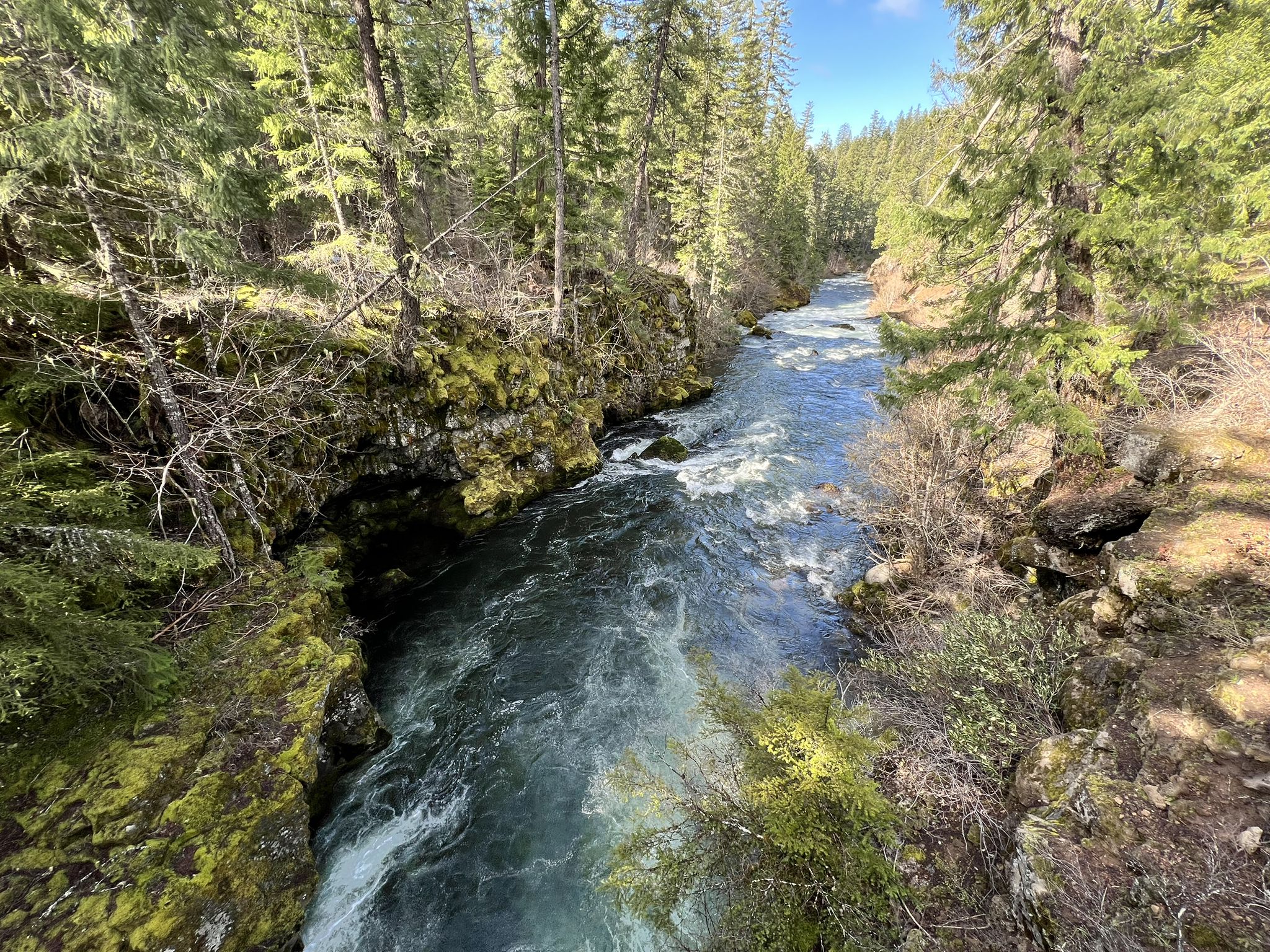 A river with rapids flows through a mossy, forested canyon on a sunny day. - Rogue River Natural Bridge