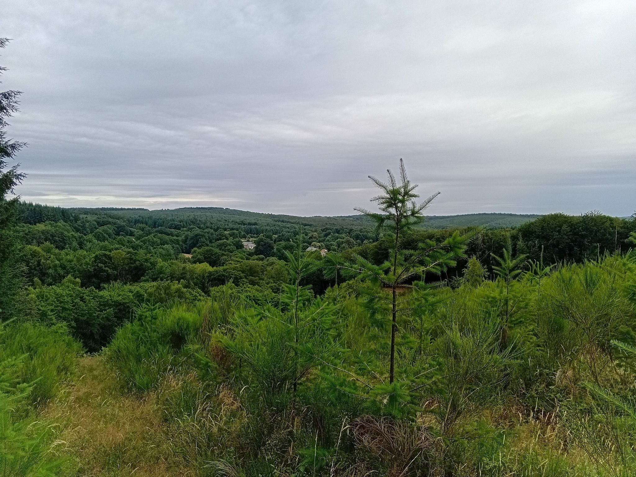 point de vue