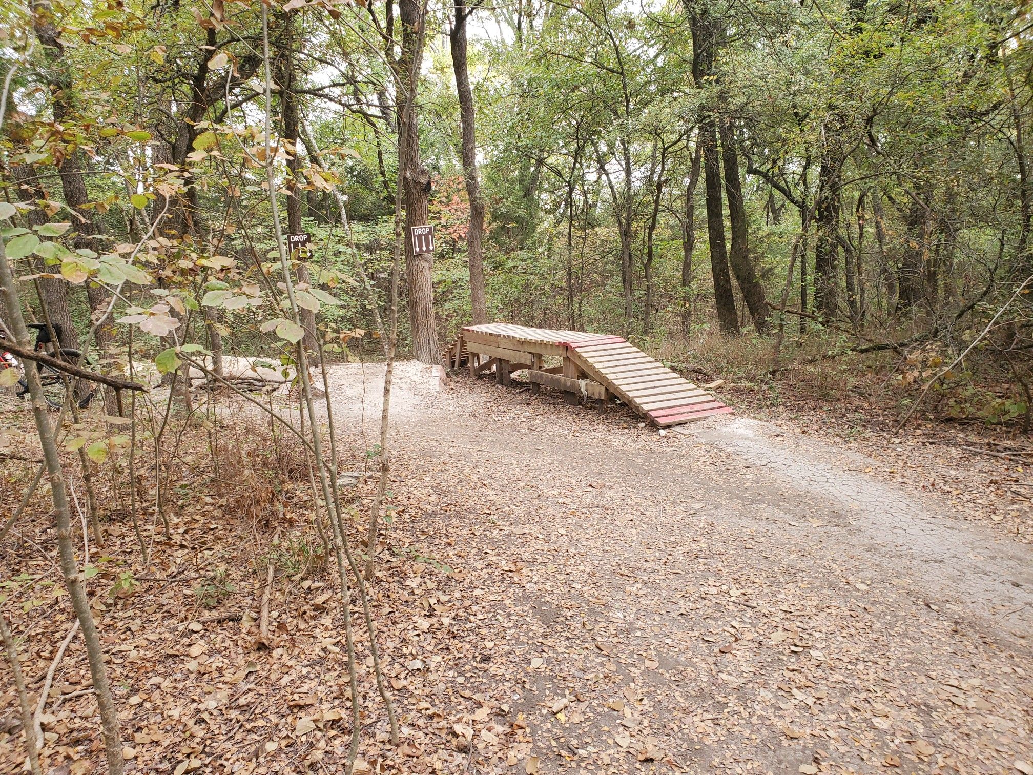 Wooden ramp structure on a dirt path in a leafy, green forest. - Erwin Park Trail