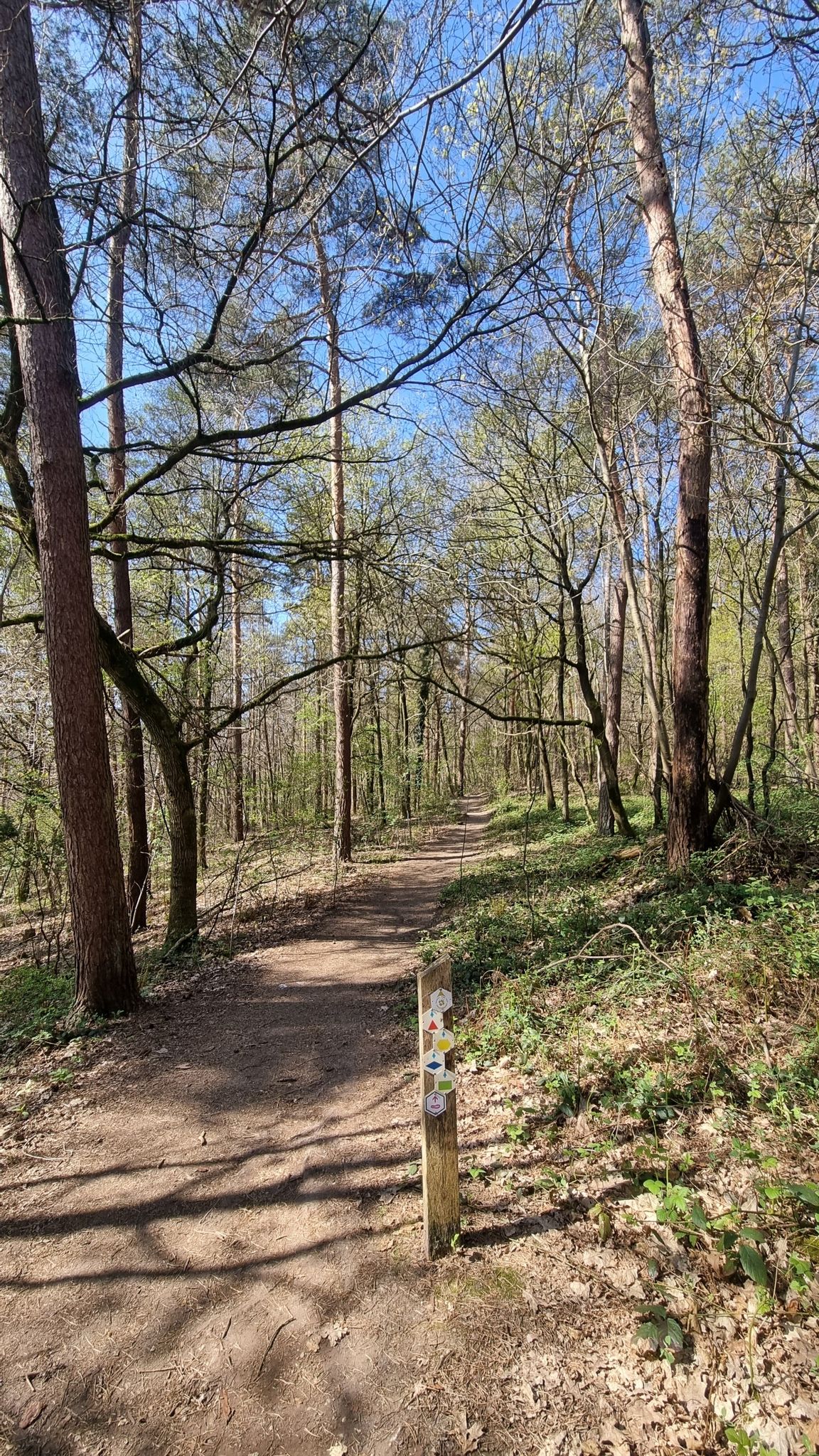 start van de blauwe route