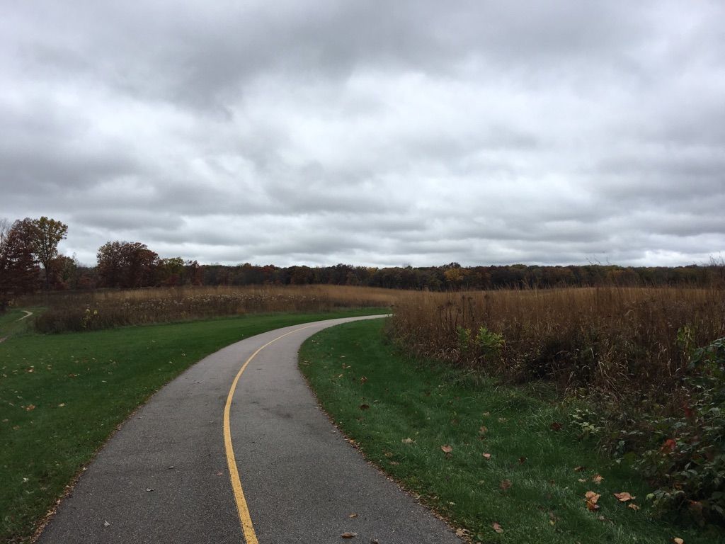 Paved path winding through brown fields under a cloudy sky. - Deer Grove Red Trail – Deer Grove Paved Loop loop from Deer Grove Forest Preserve - East