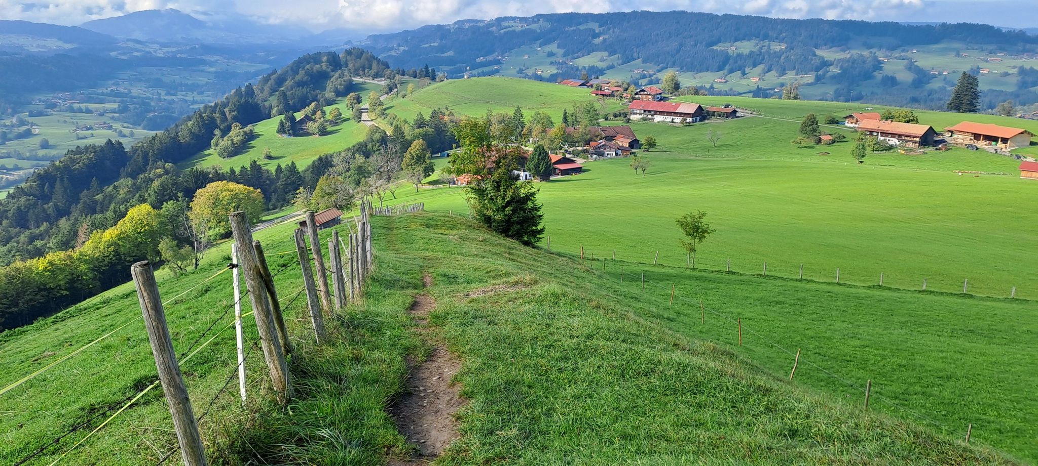Trail