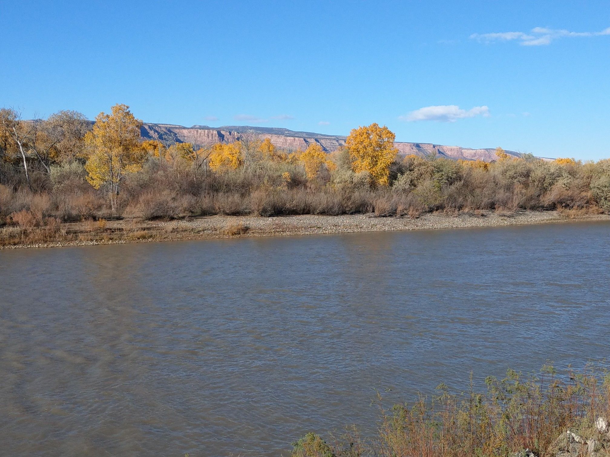 River flows past golden autumn trees and a distant mesa under a blue sky. - Colorado Riverfront Trail: Grand Junction to Fruita Loop