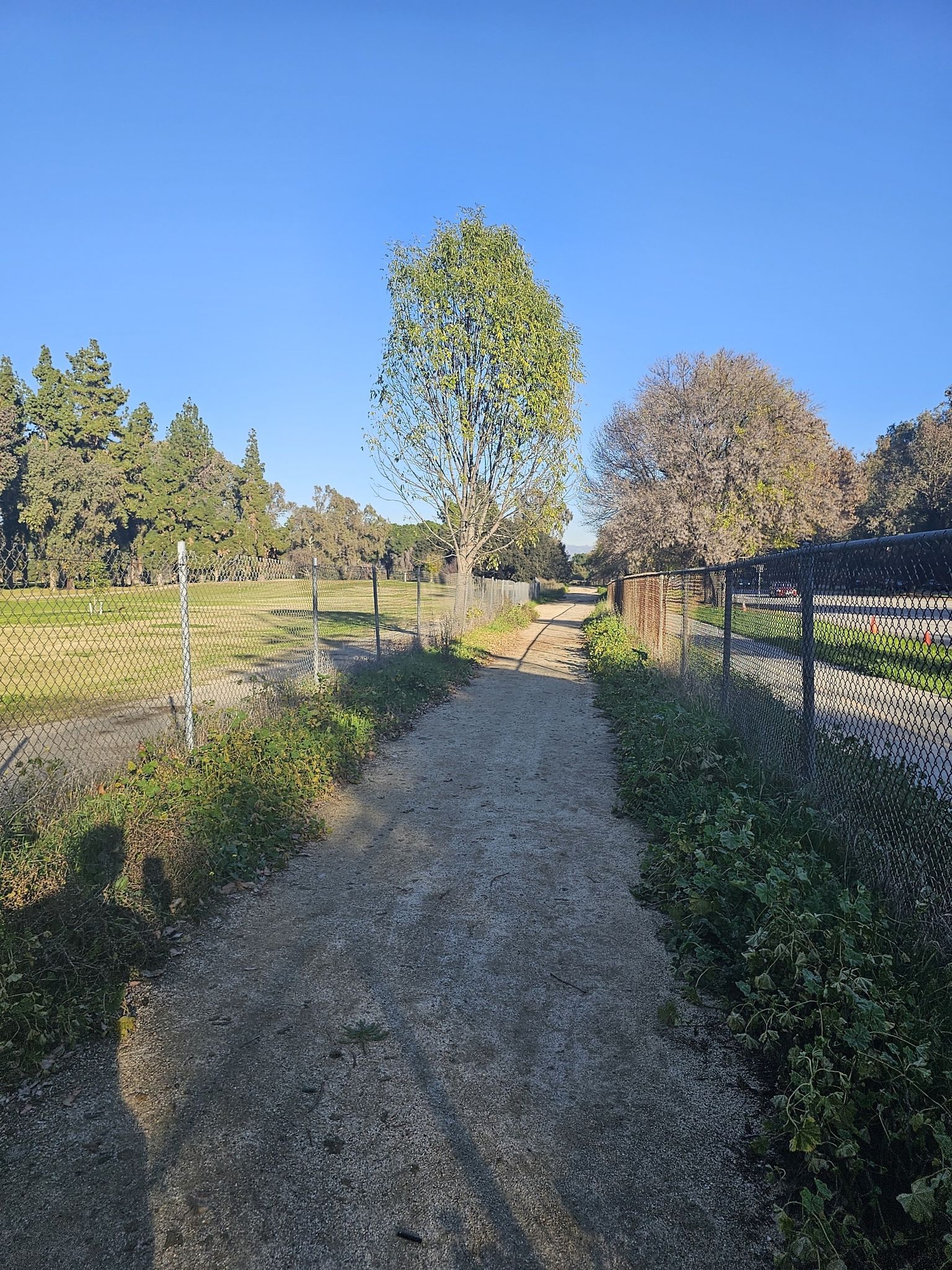 Dirt path between chain-link fences, green grass, and trees, with shadows. - Sepulveda Basin: Upstream Of Balboa