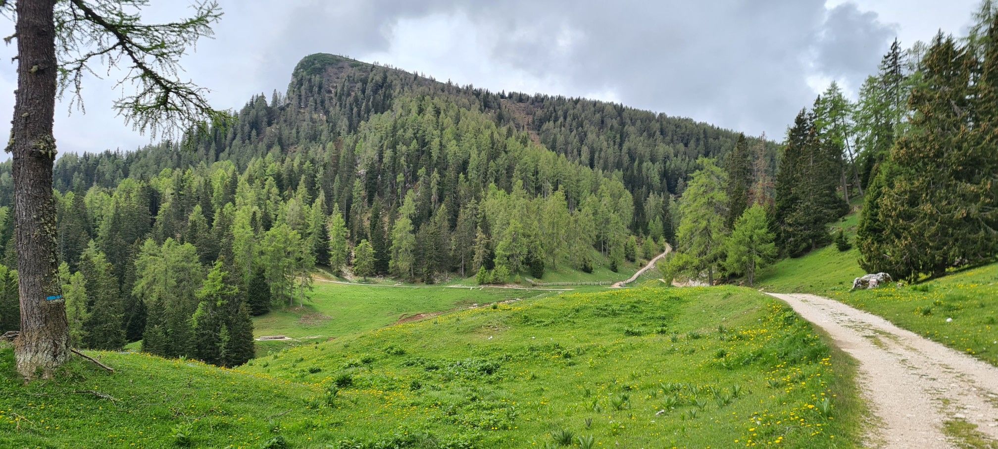 Monte Roen