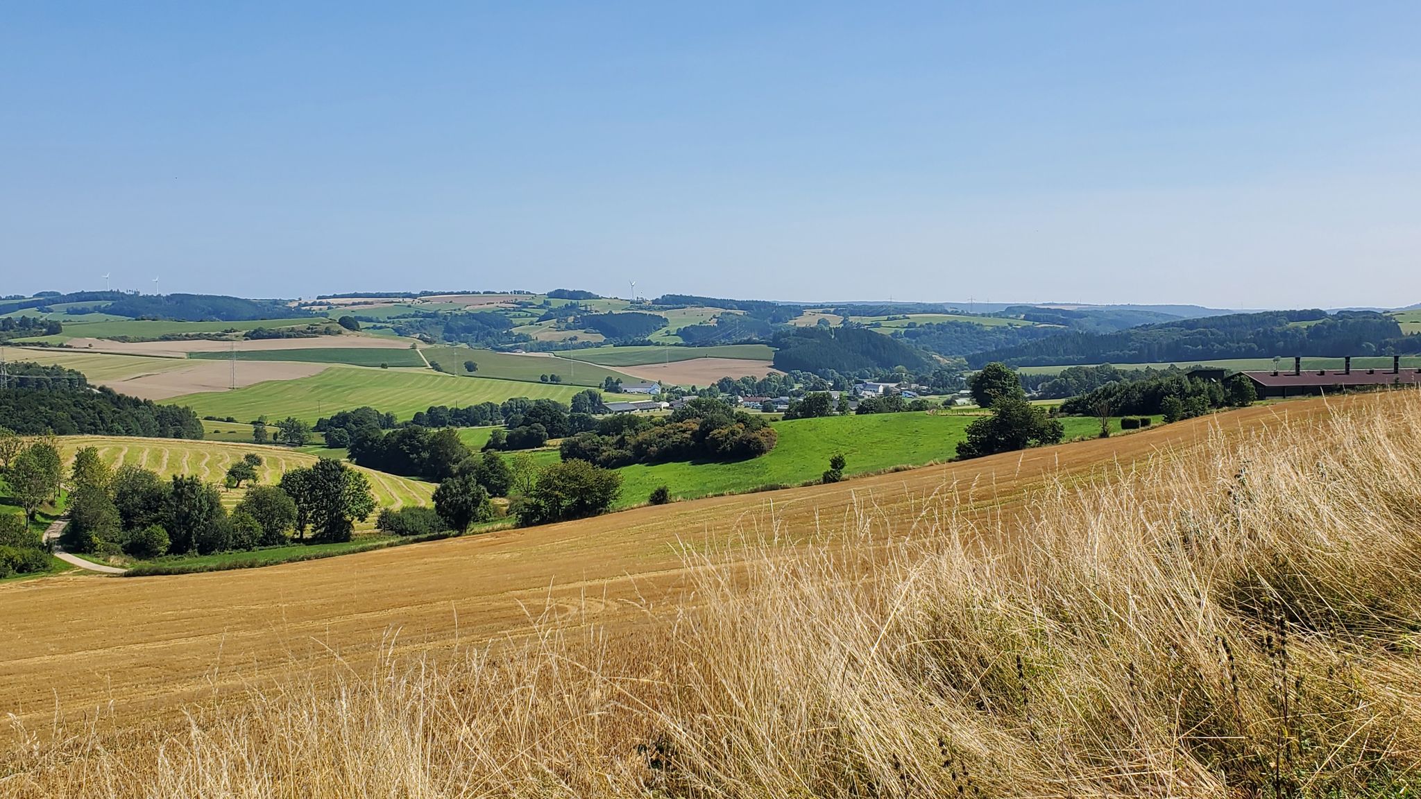 Blick über das Tal der Nims