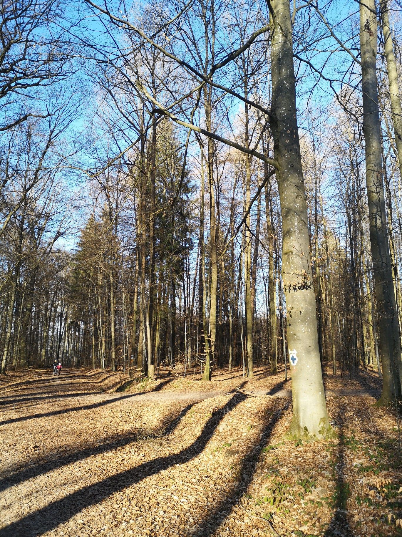 rechts